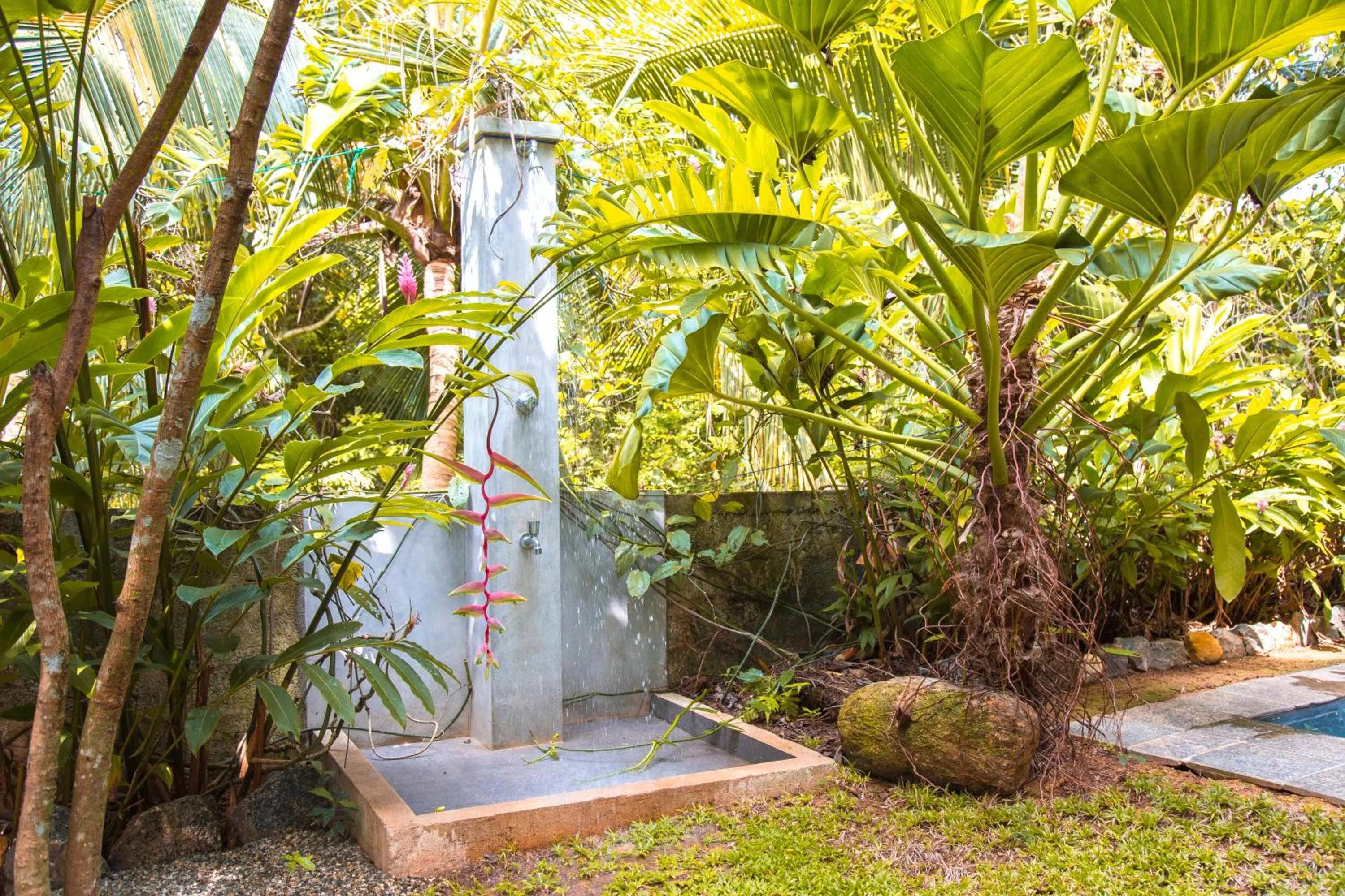 Garden in Ceylon Olive Galle