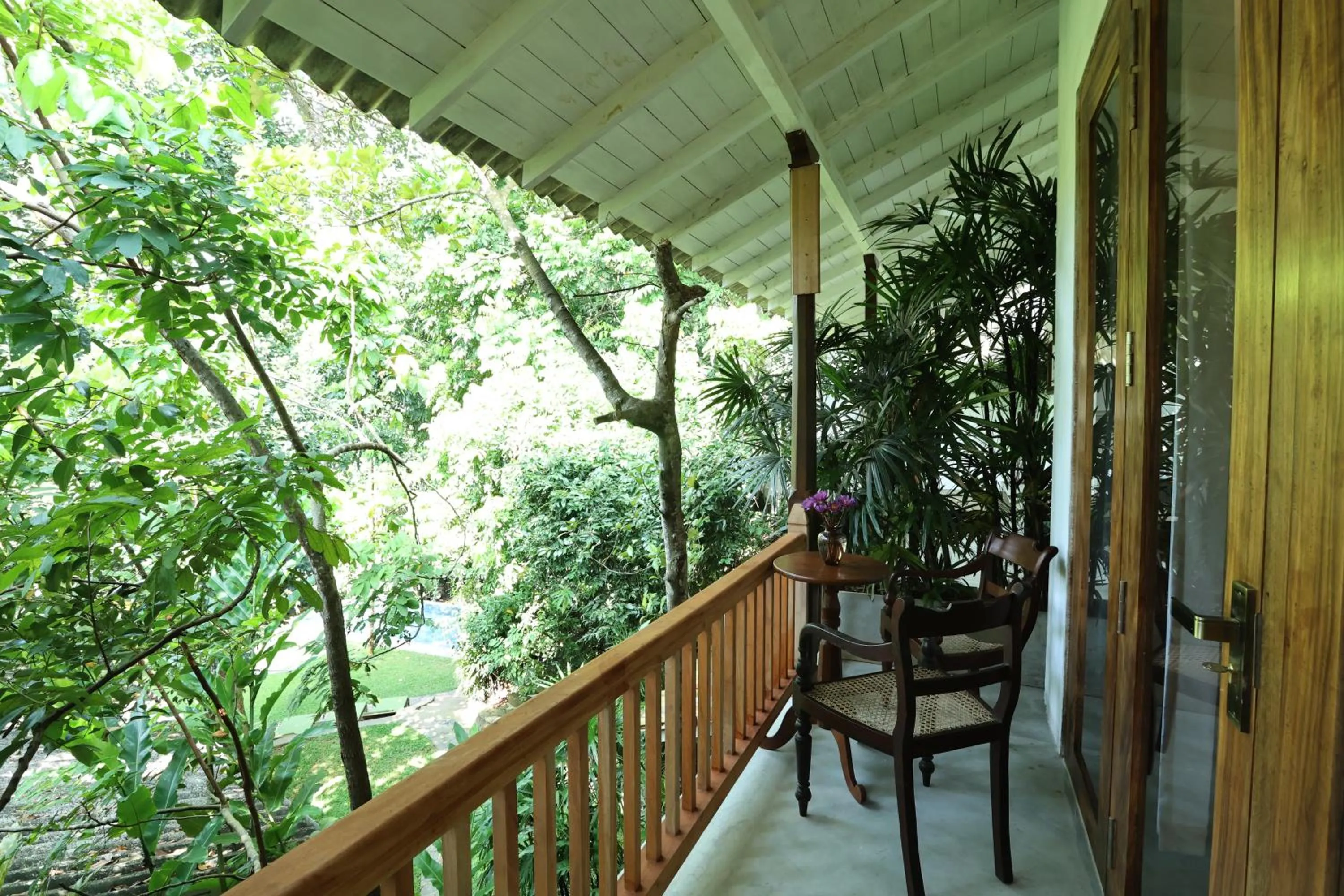 Property building in Ceylon Olive Galle