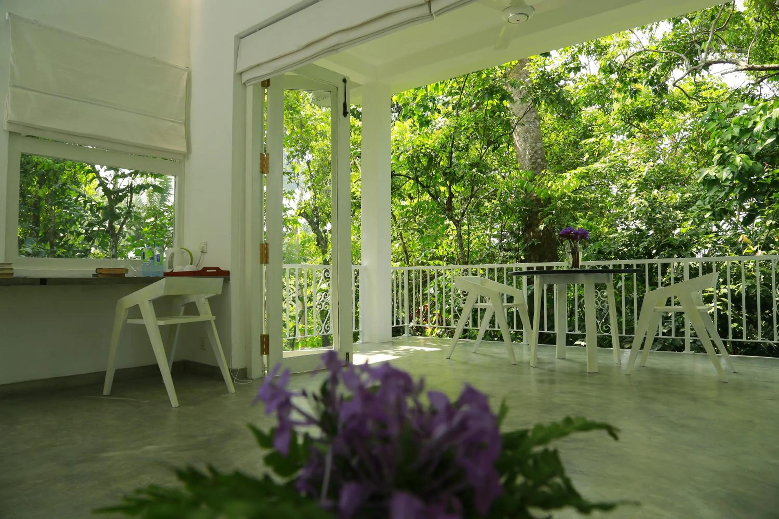 View (from property/room) in Ceylon Olive Galle