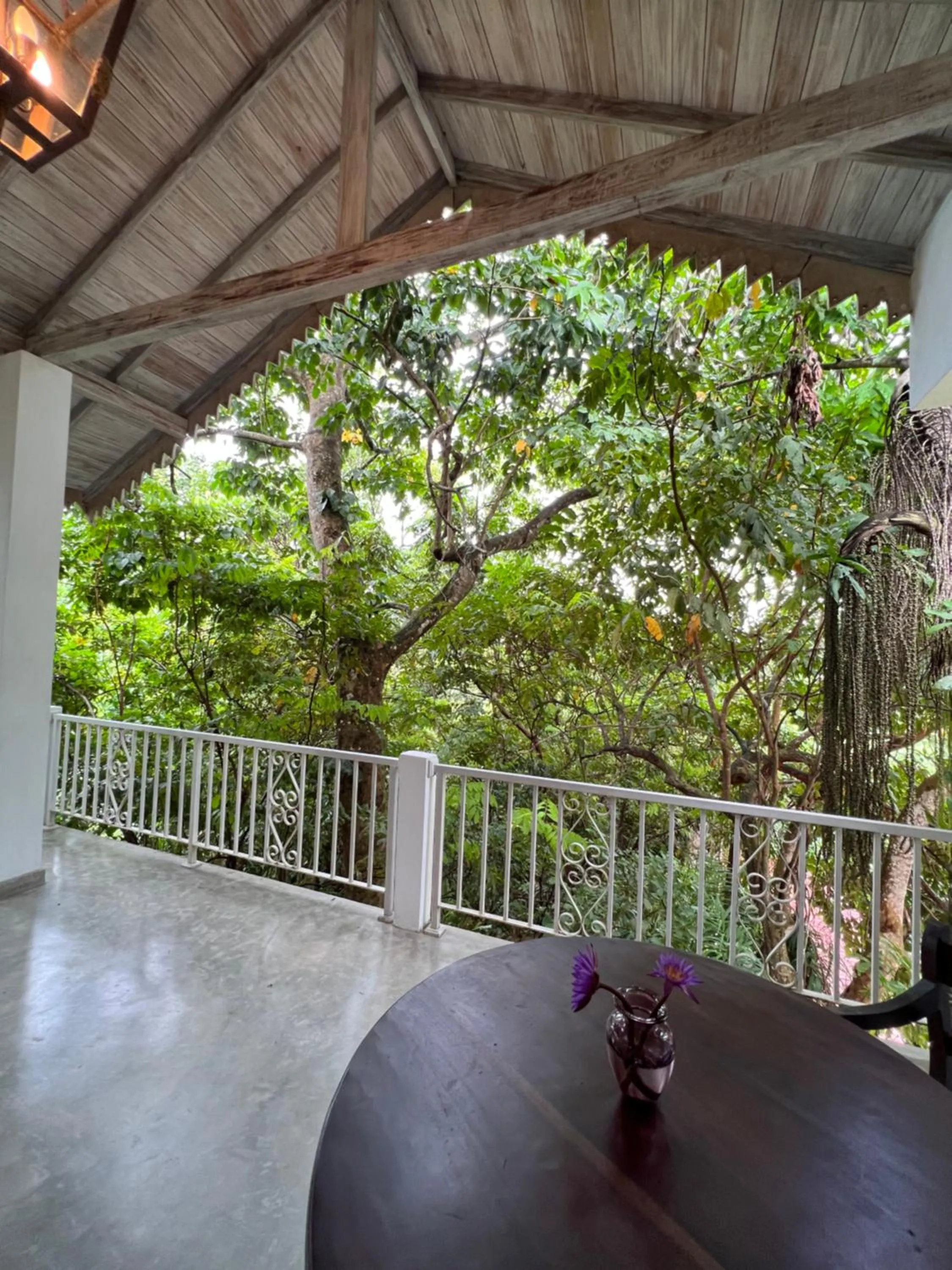 View (from property/room) in Ceylon Olive Galle