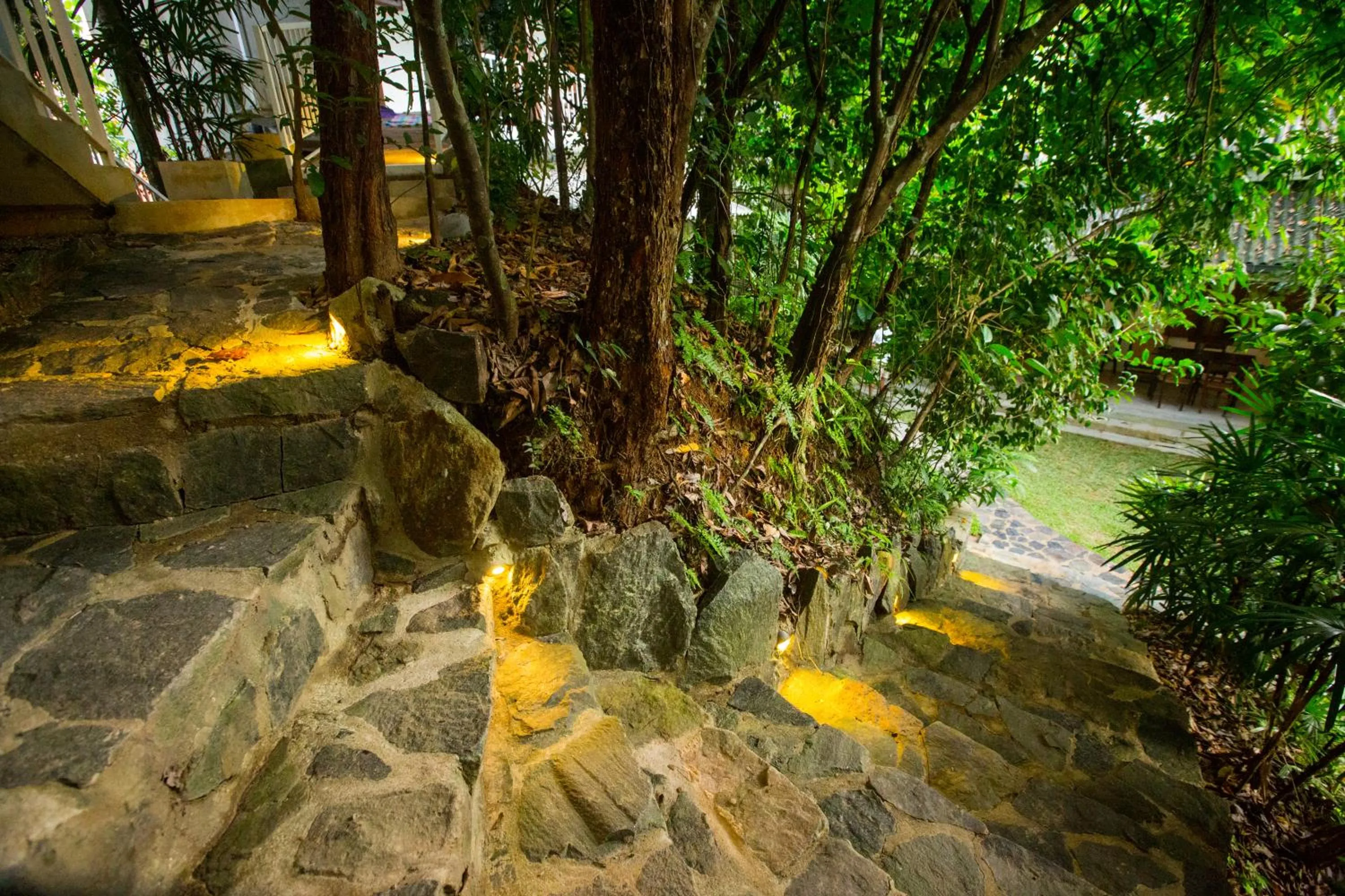 Natural landscape in Ceylon Olive Galle