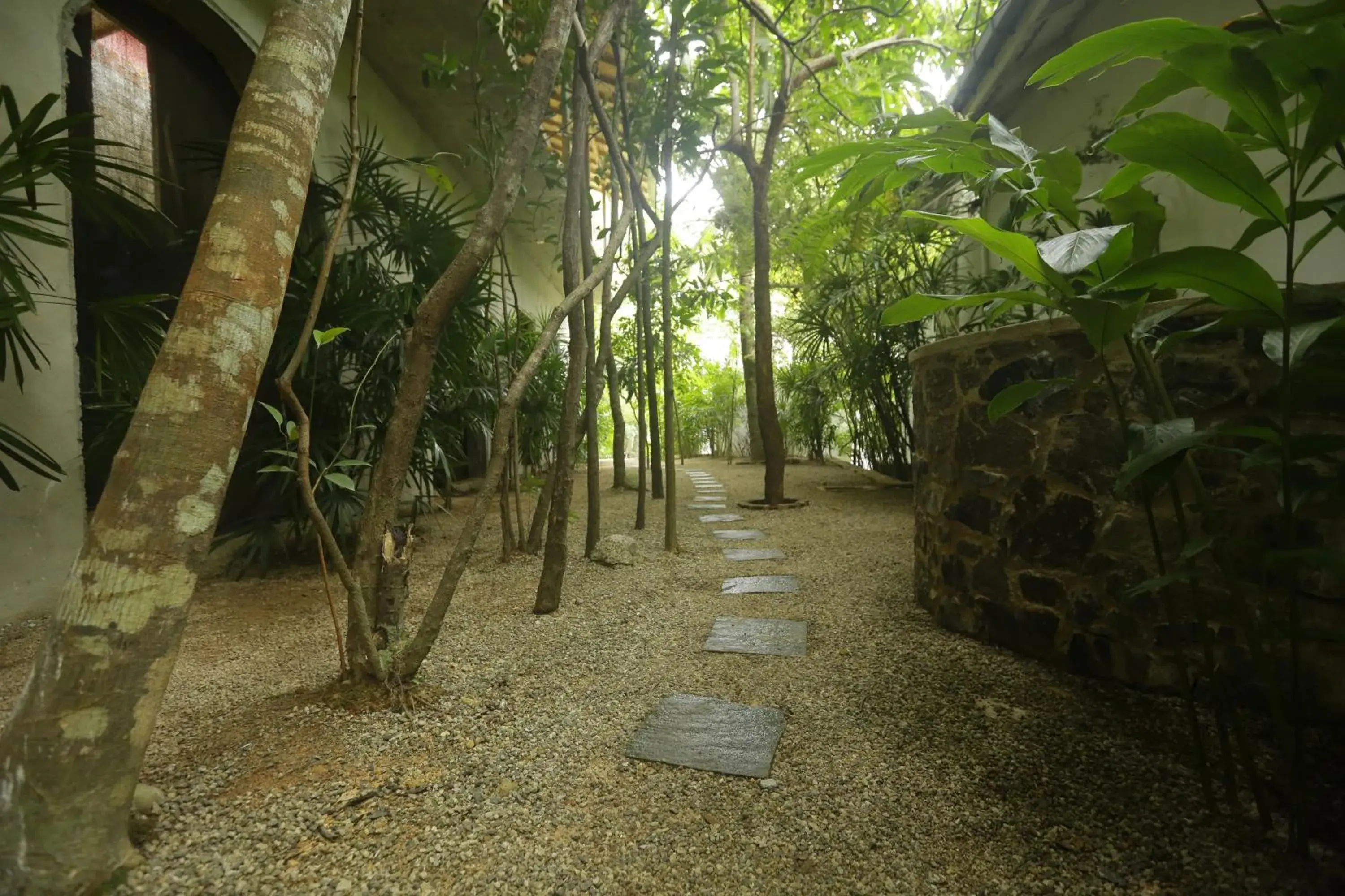 Lobby or reception in Ceylon Olive Galle Lobby or reception in Ceylon Olive Galle