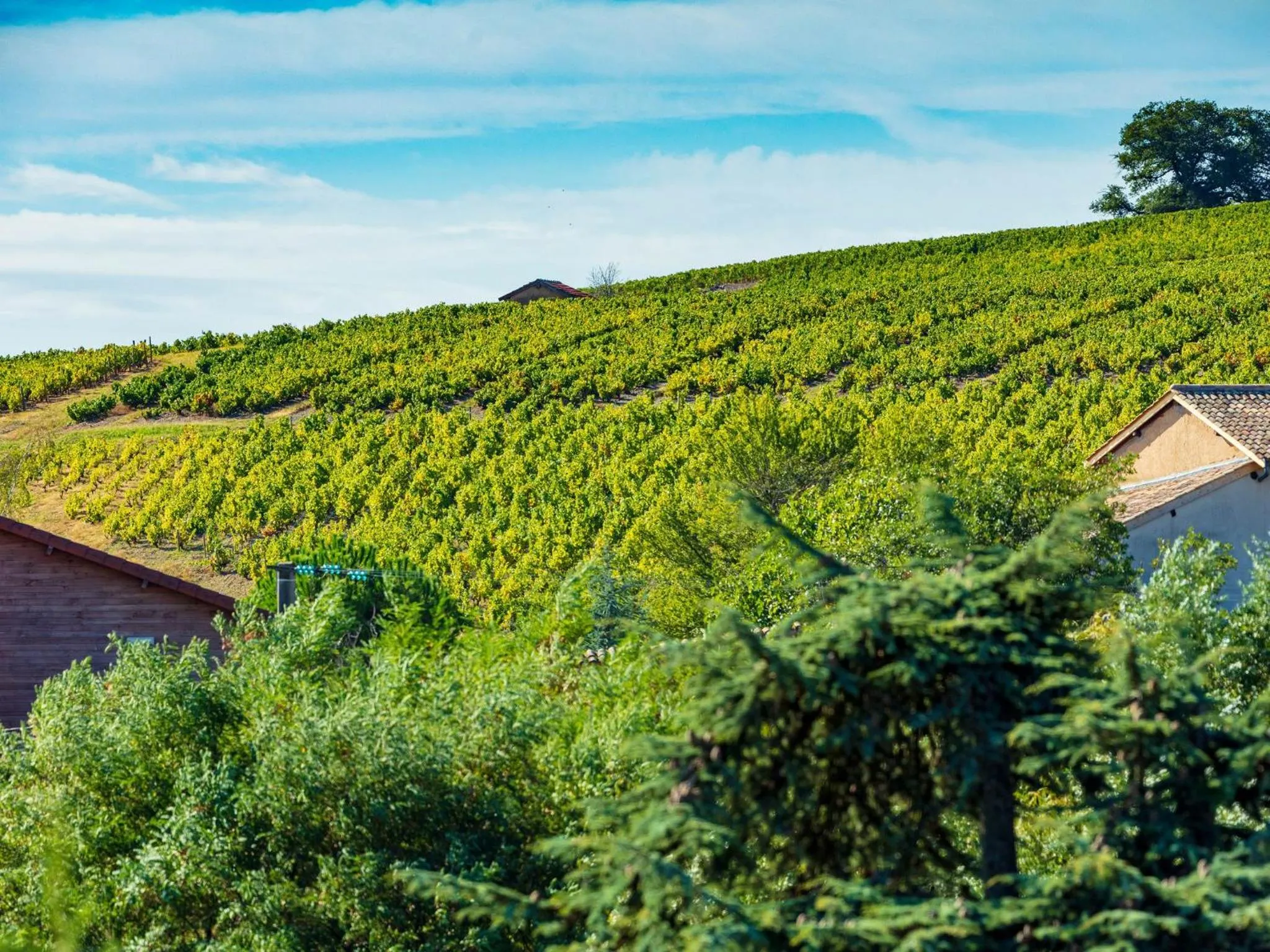 Other in Logis Hotel Noemys Morgon