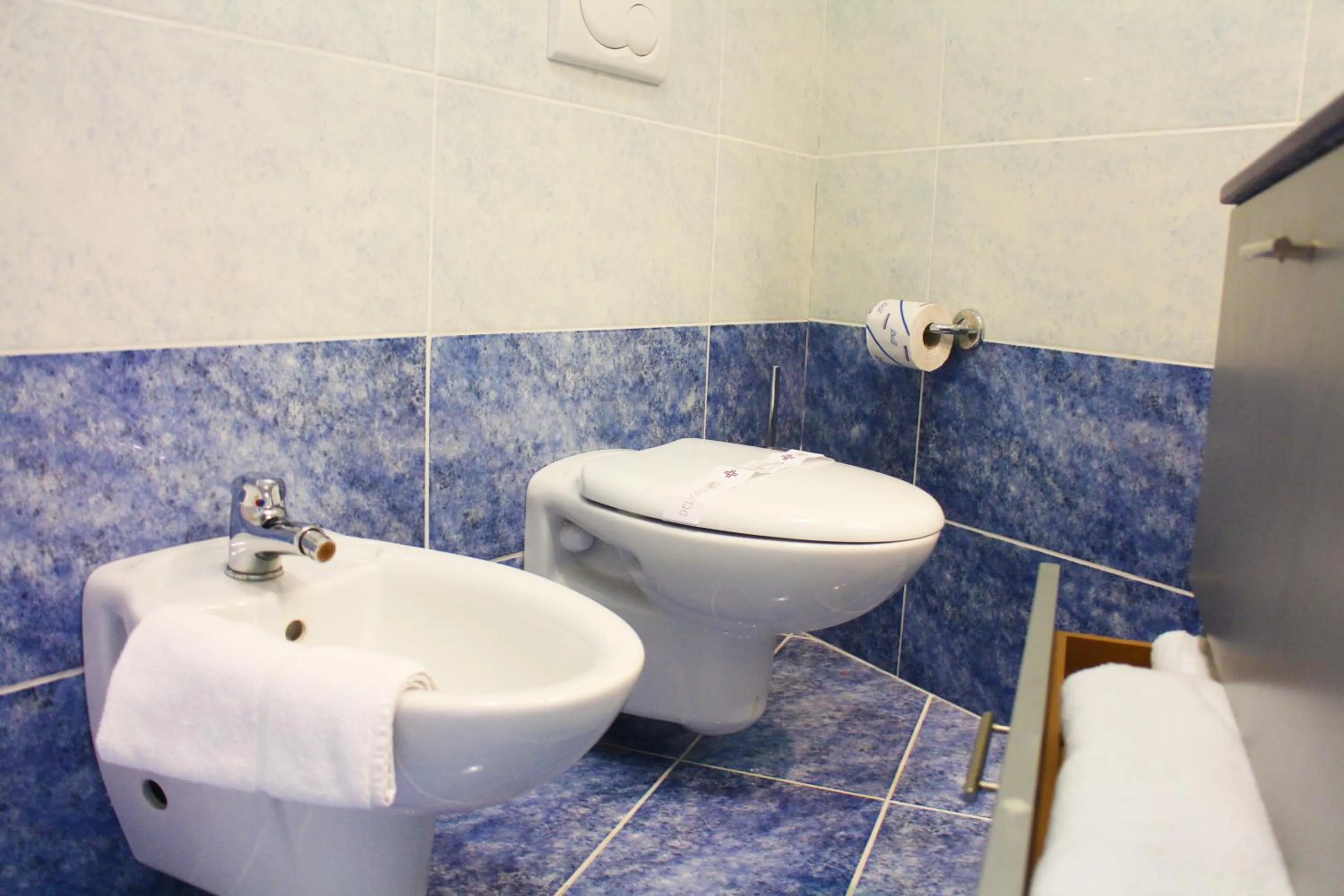 Toilet in Hotel Cristallo