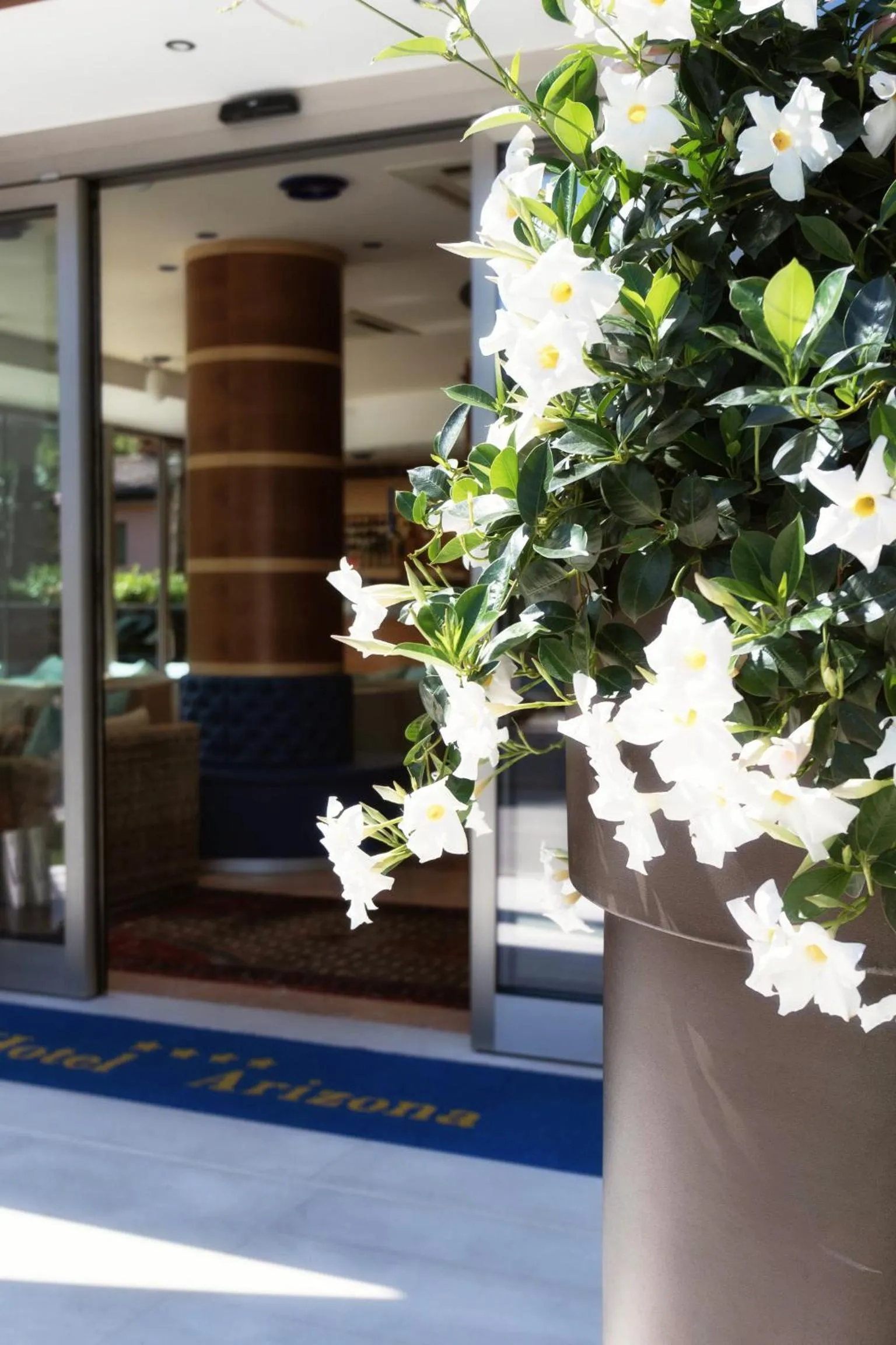 Other in Hotel Arizona