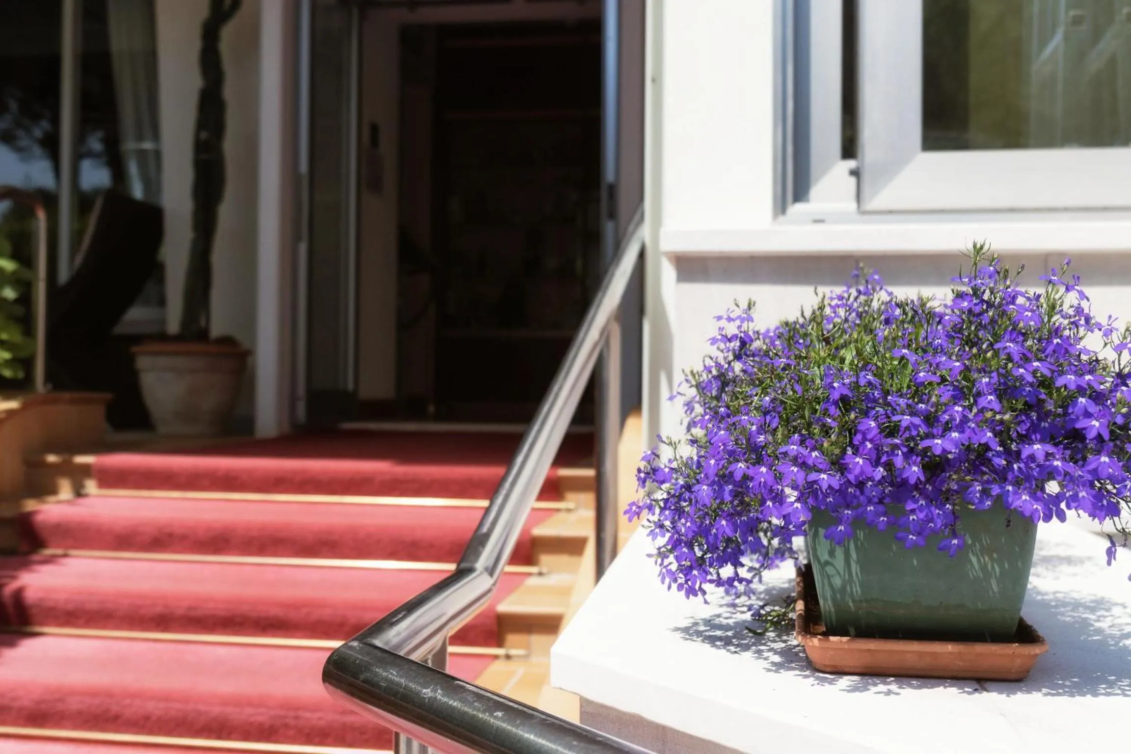 Patio in Hotel Arizona