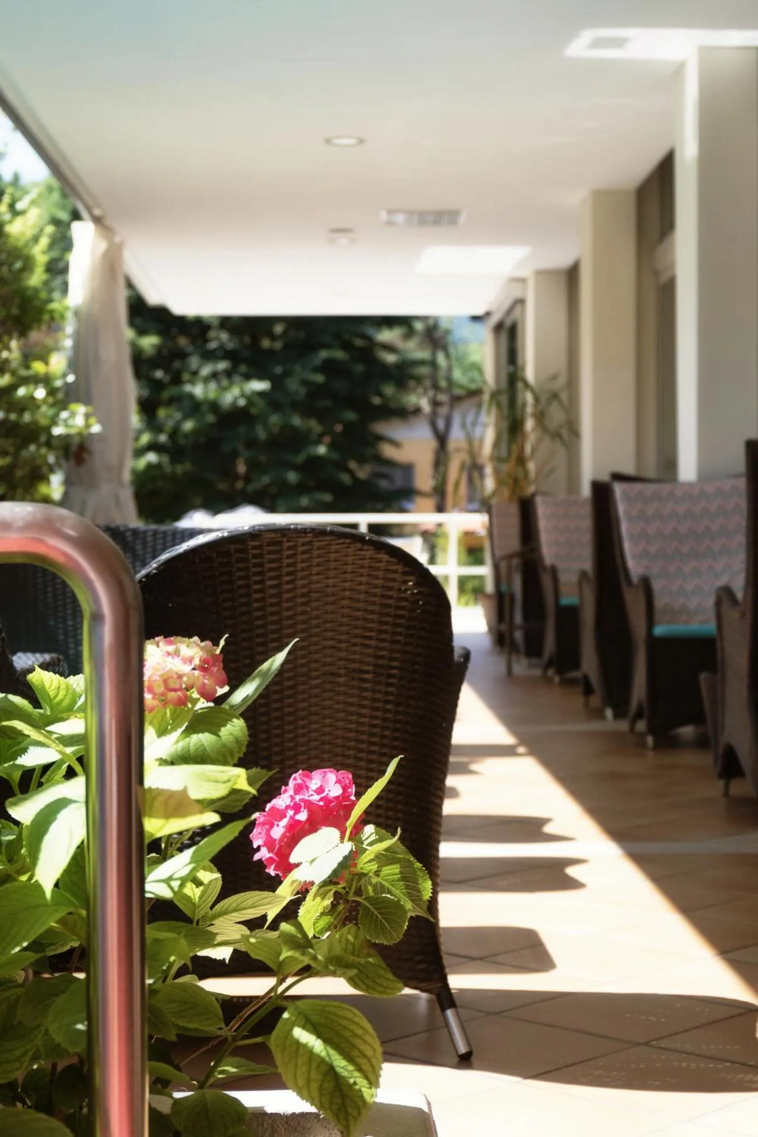 Other in Hotel Arizona