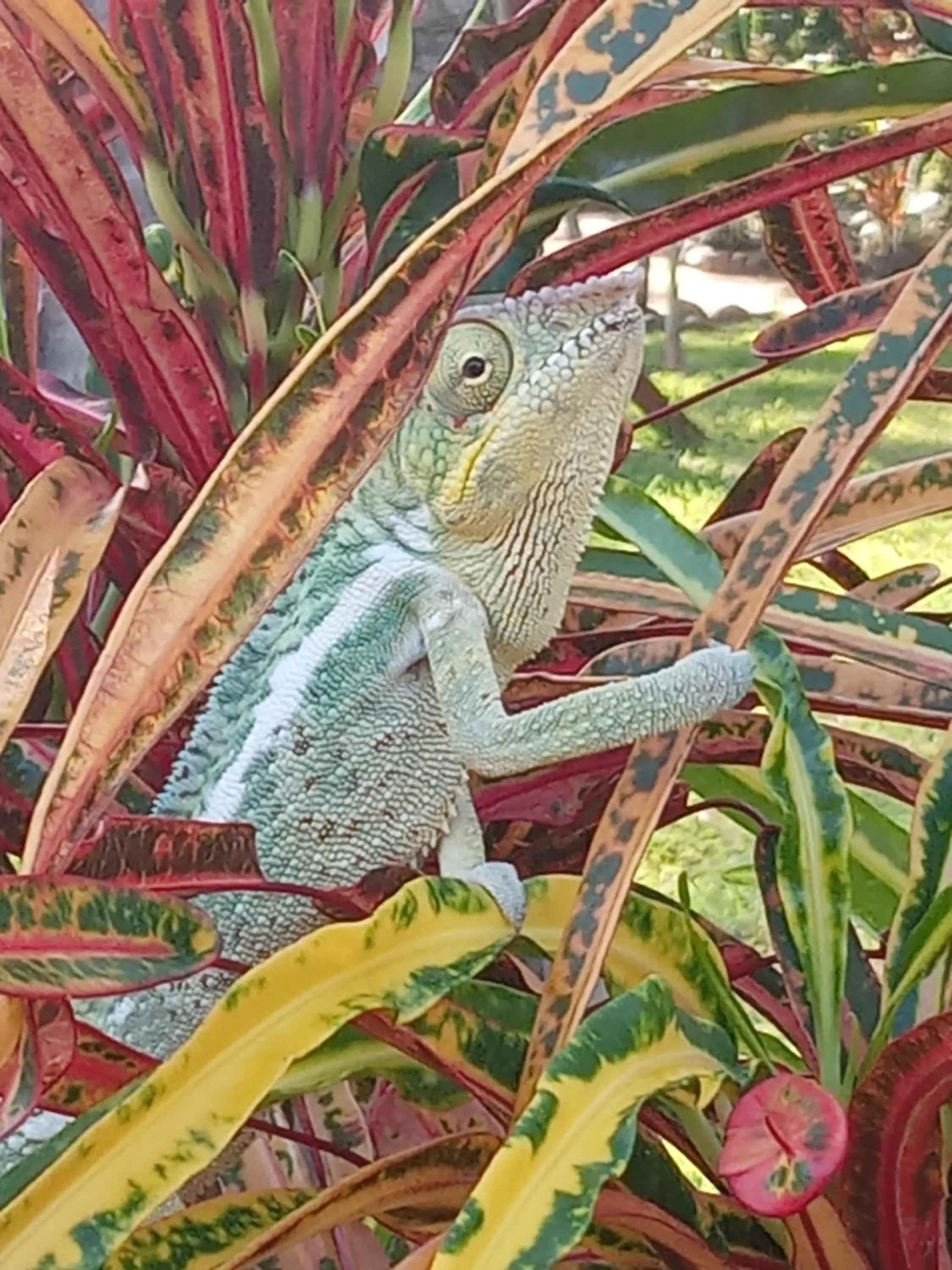 Natural landscape in Le Moya Beach