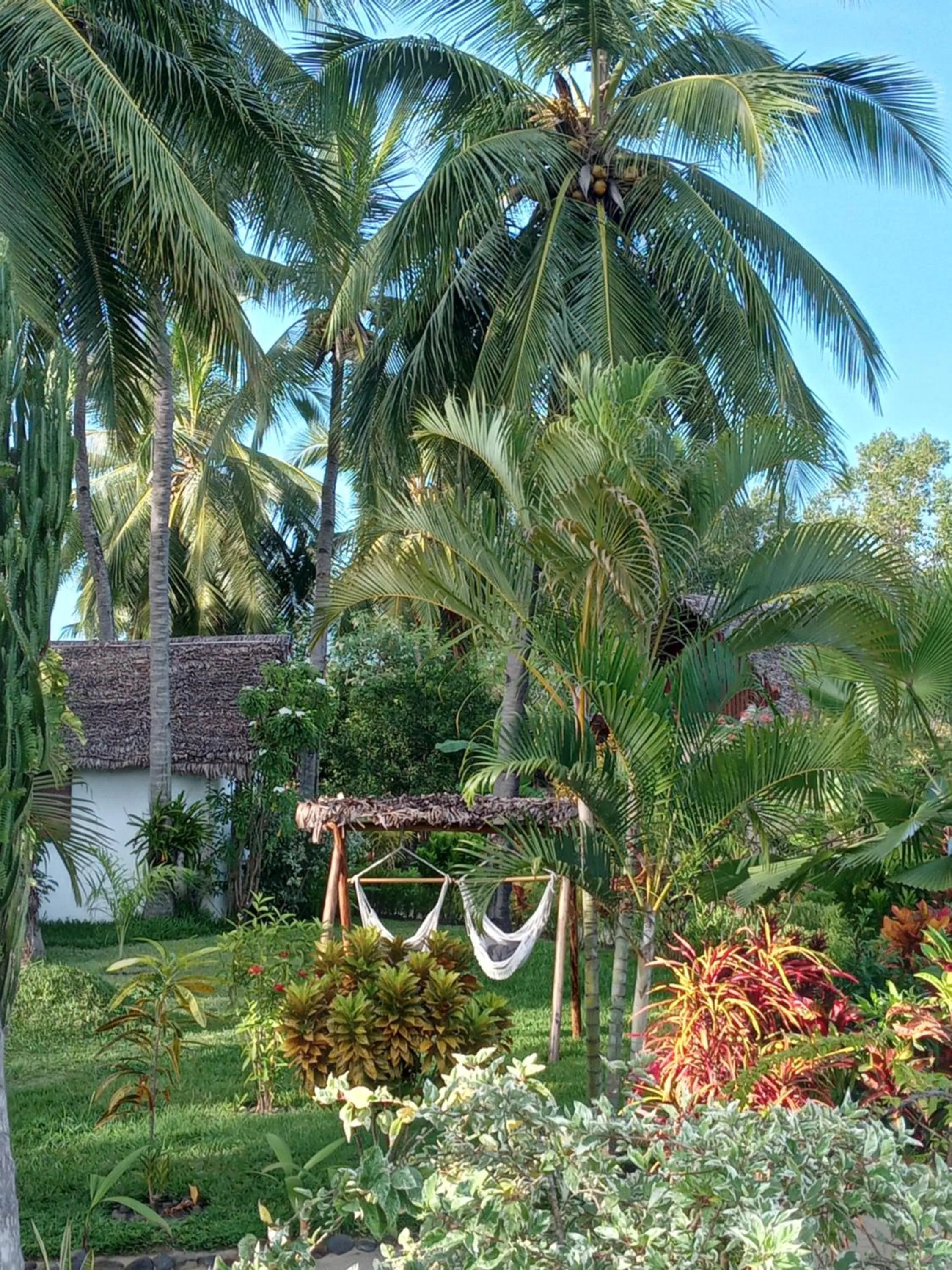 Garden in Le Moya Beach