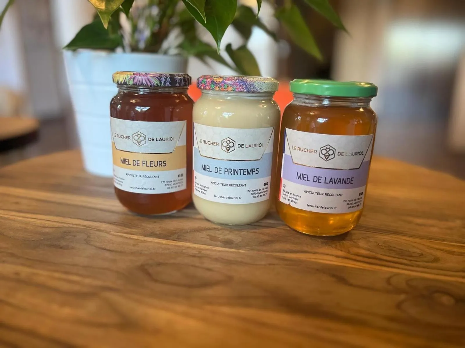 Breakfast in Brit Hotel Confort Montauban