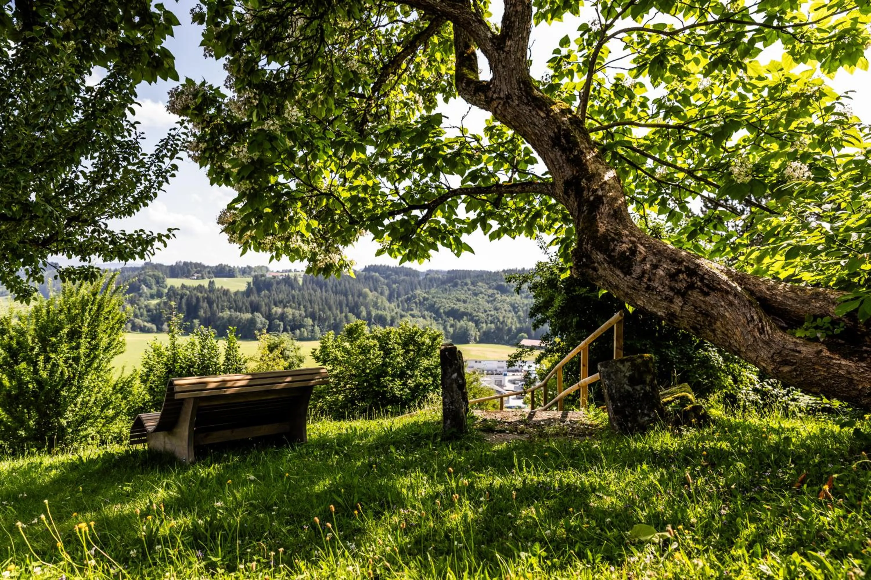 Garden in Hotel zur Rose