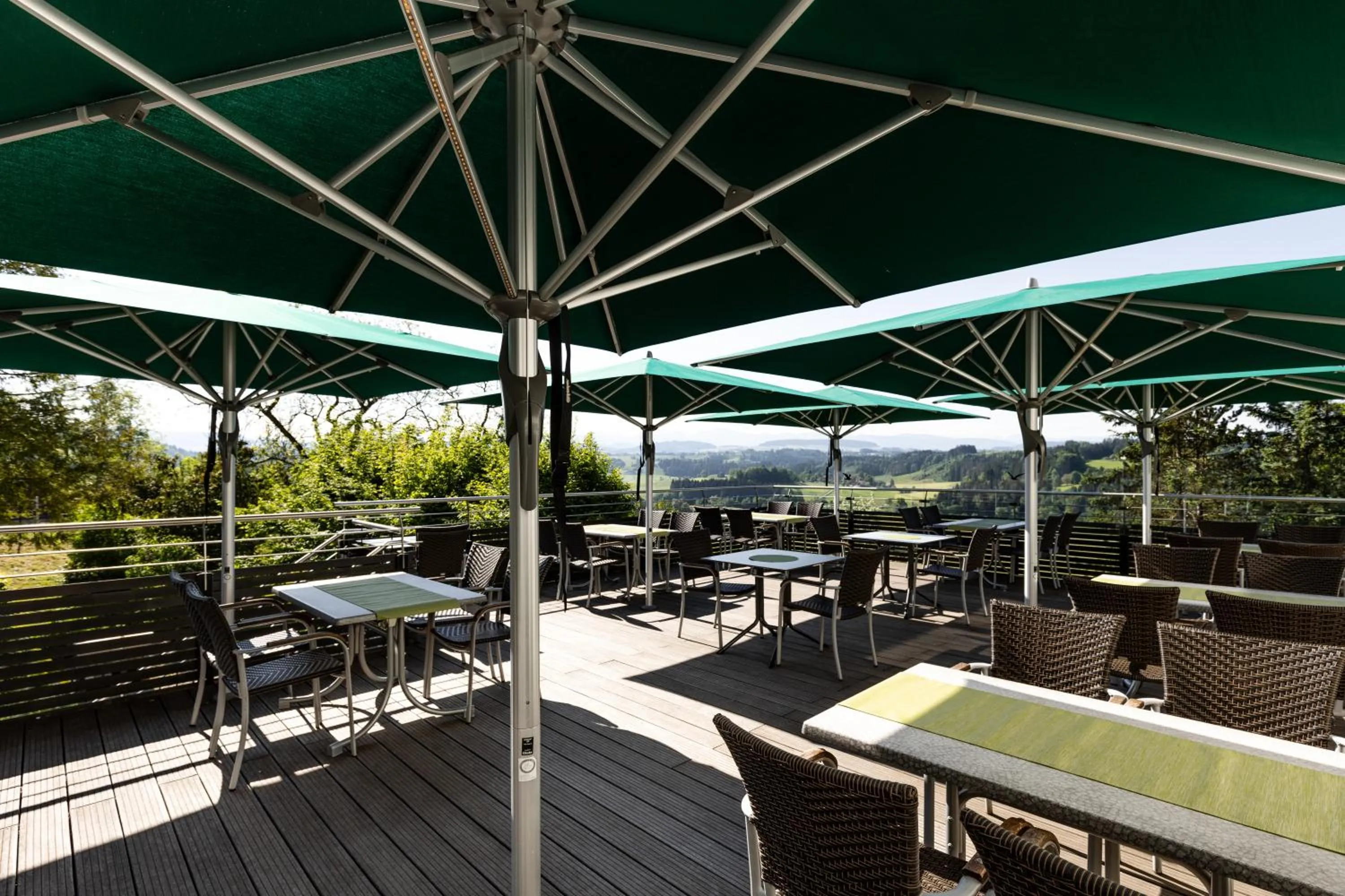 Balcony/Terrace in Hotel zur Rose