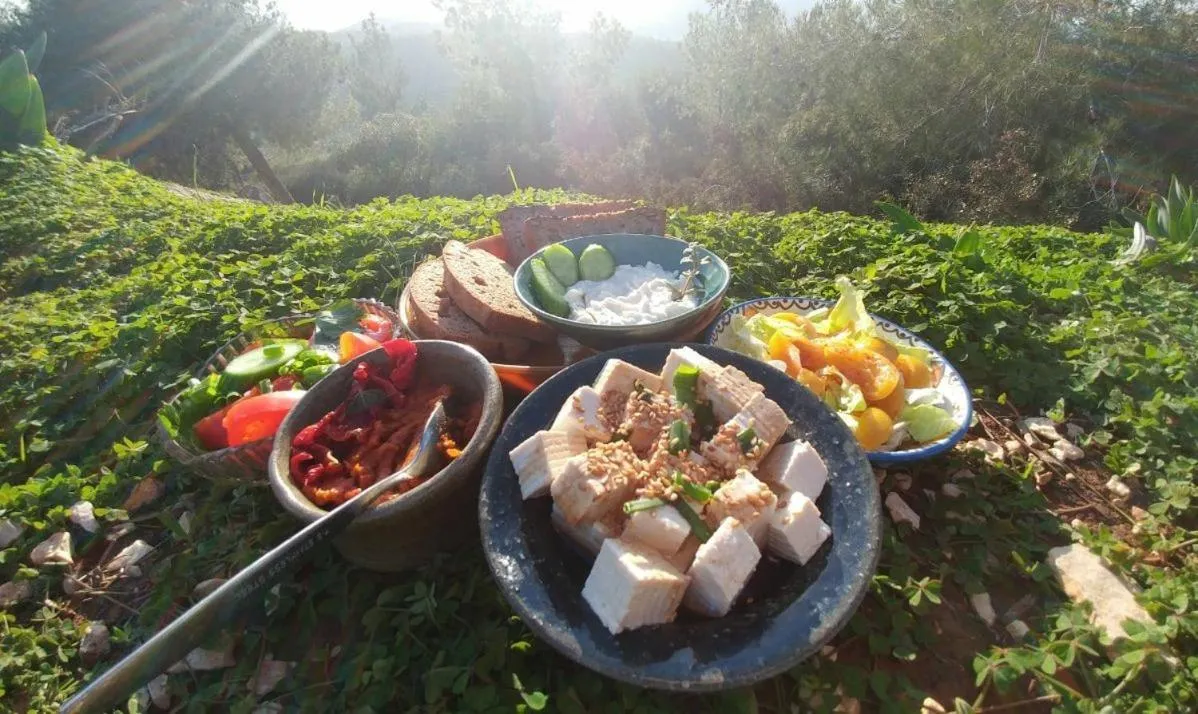 Food close-up in Cabin In The View