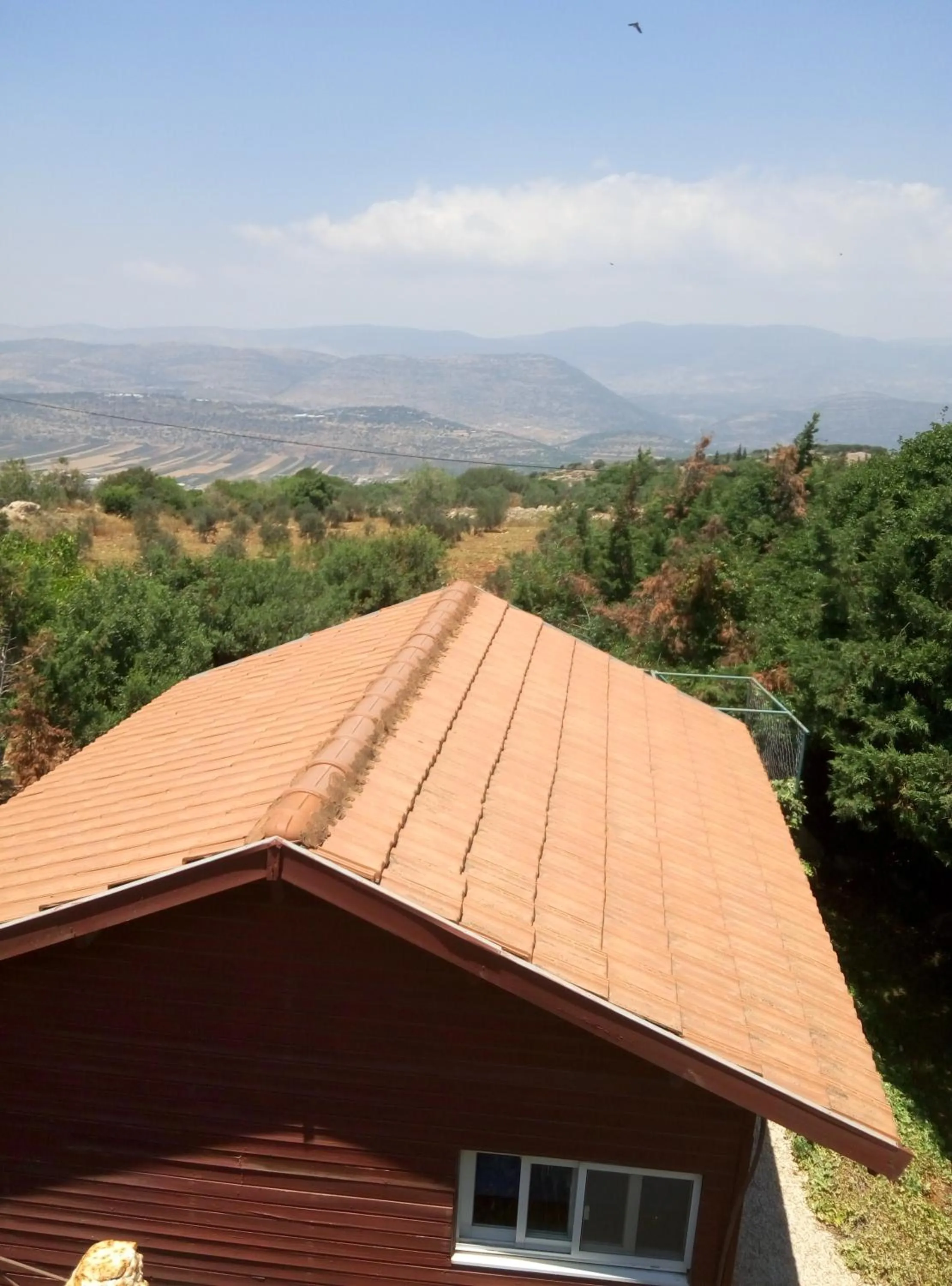 Mountain view in Cabin In The View