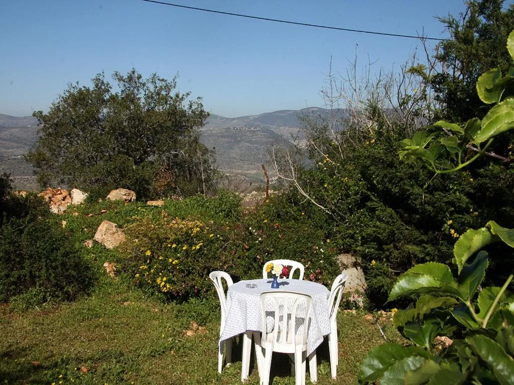 Garden in Cabin In The View