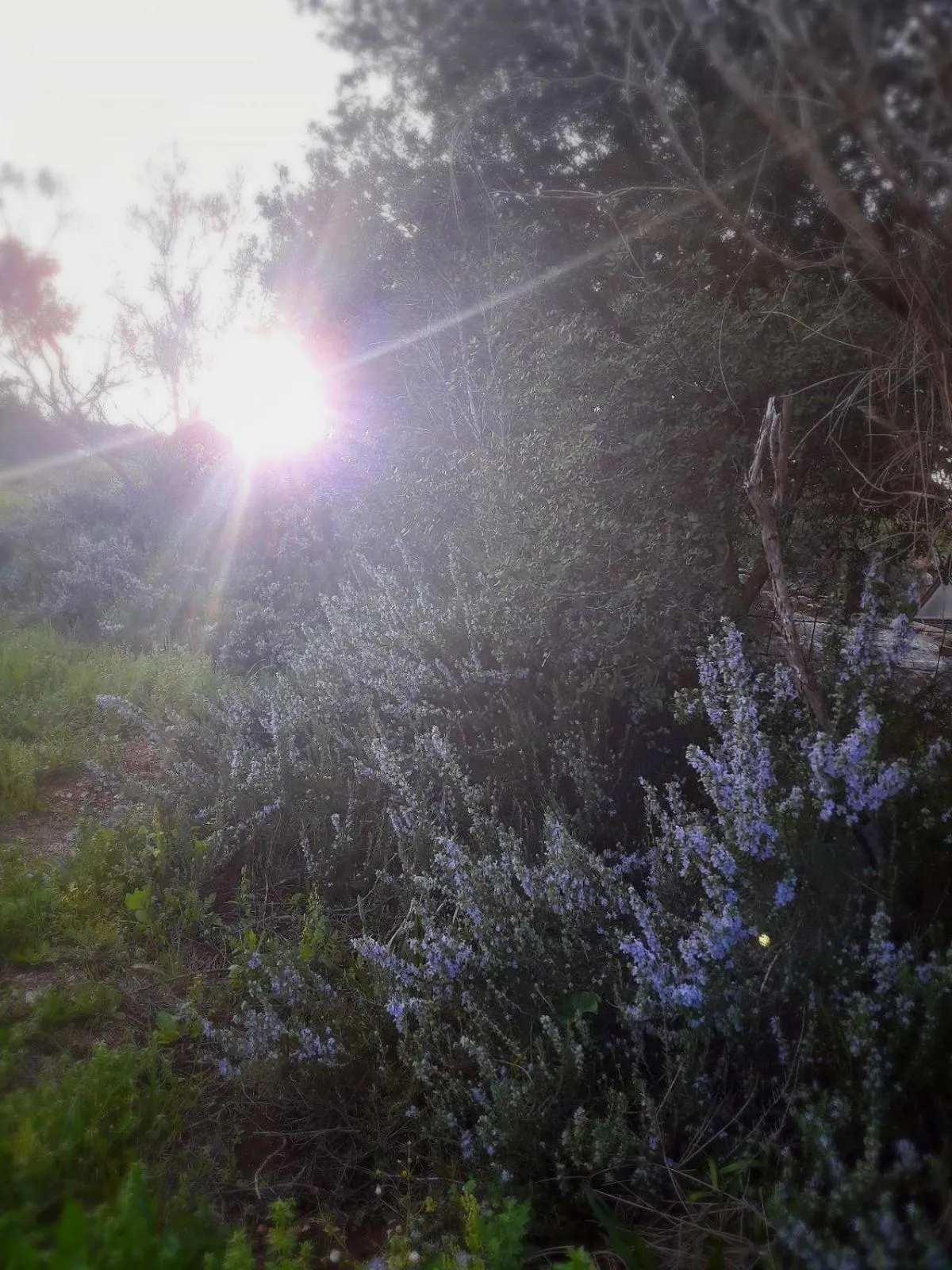 On site in Cabin In The View