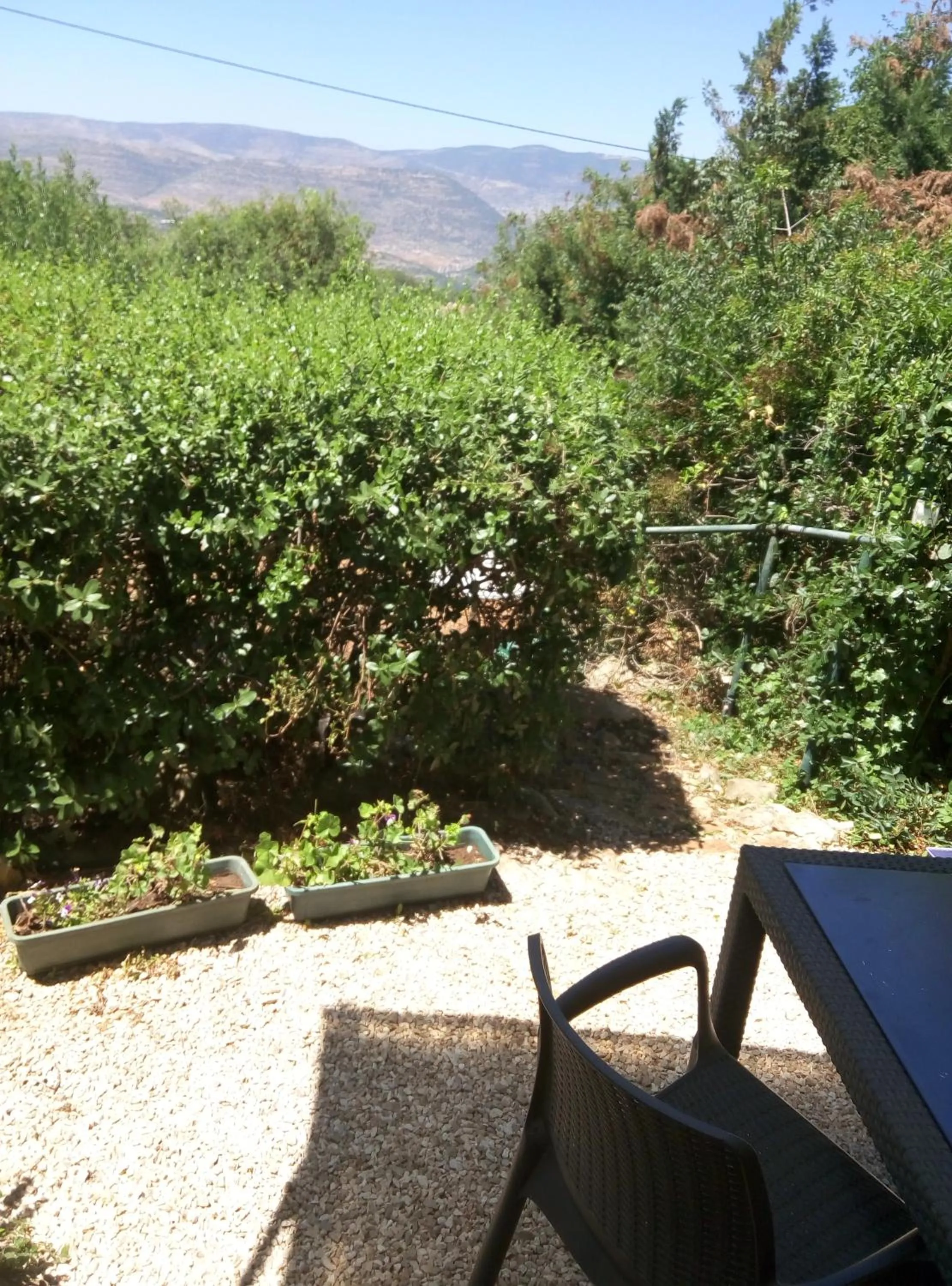 Garden in Cabin In The View