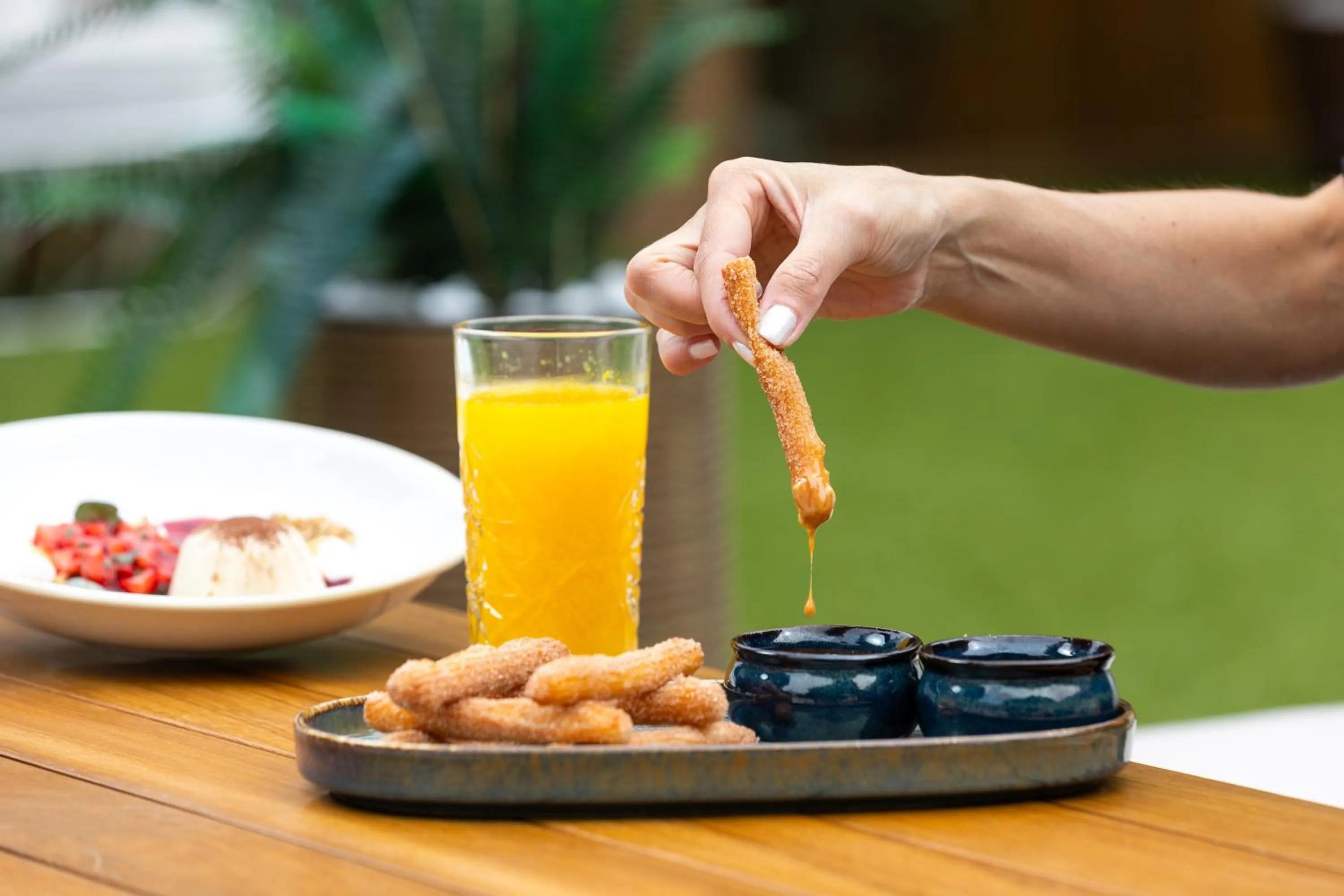 Garden in Hotel Cristal Porto