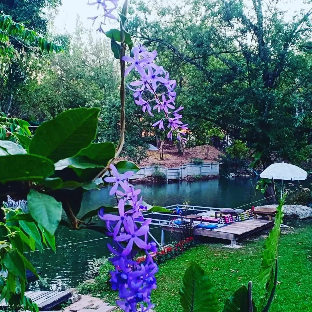 Natural landscape in Brookhouse at Khaoyai