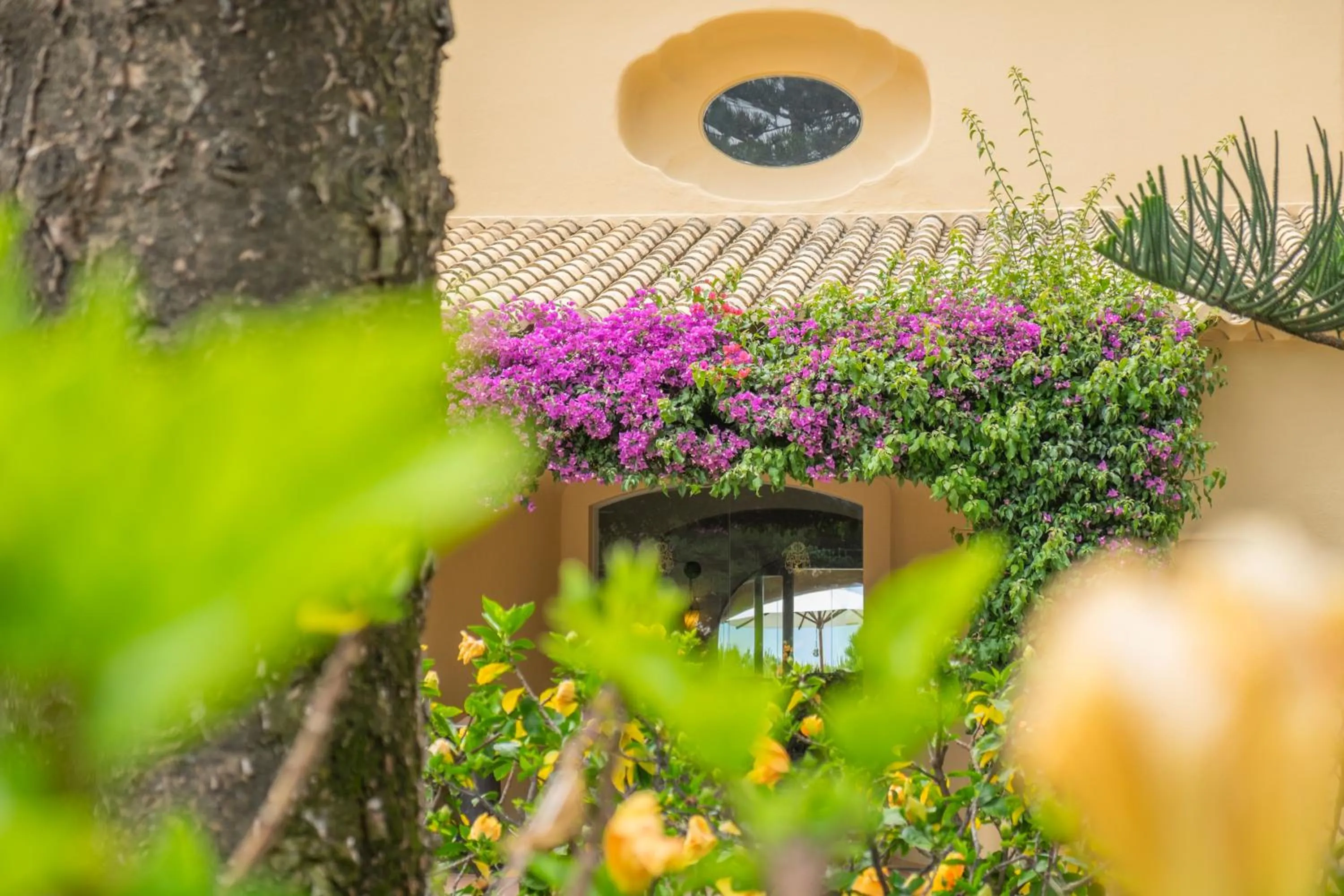 Property building in Vila Joya