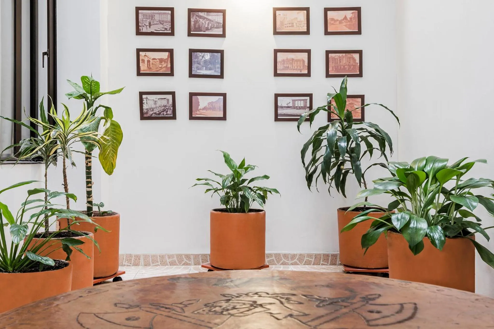 Guests in Hotel El Campin