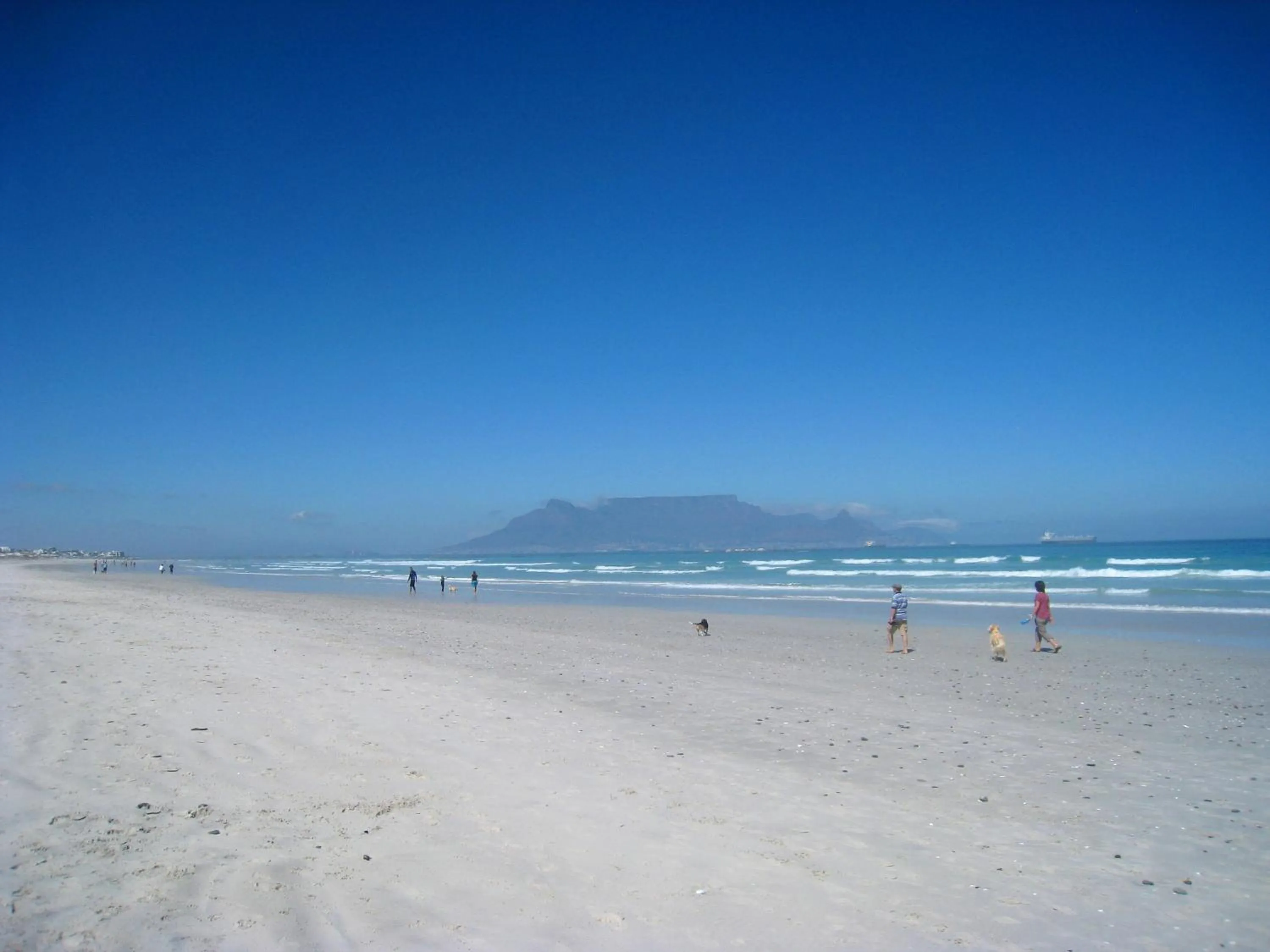 Activities in Dolphin Inn Blouberg