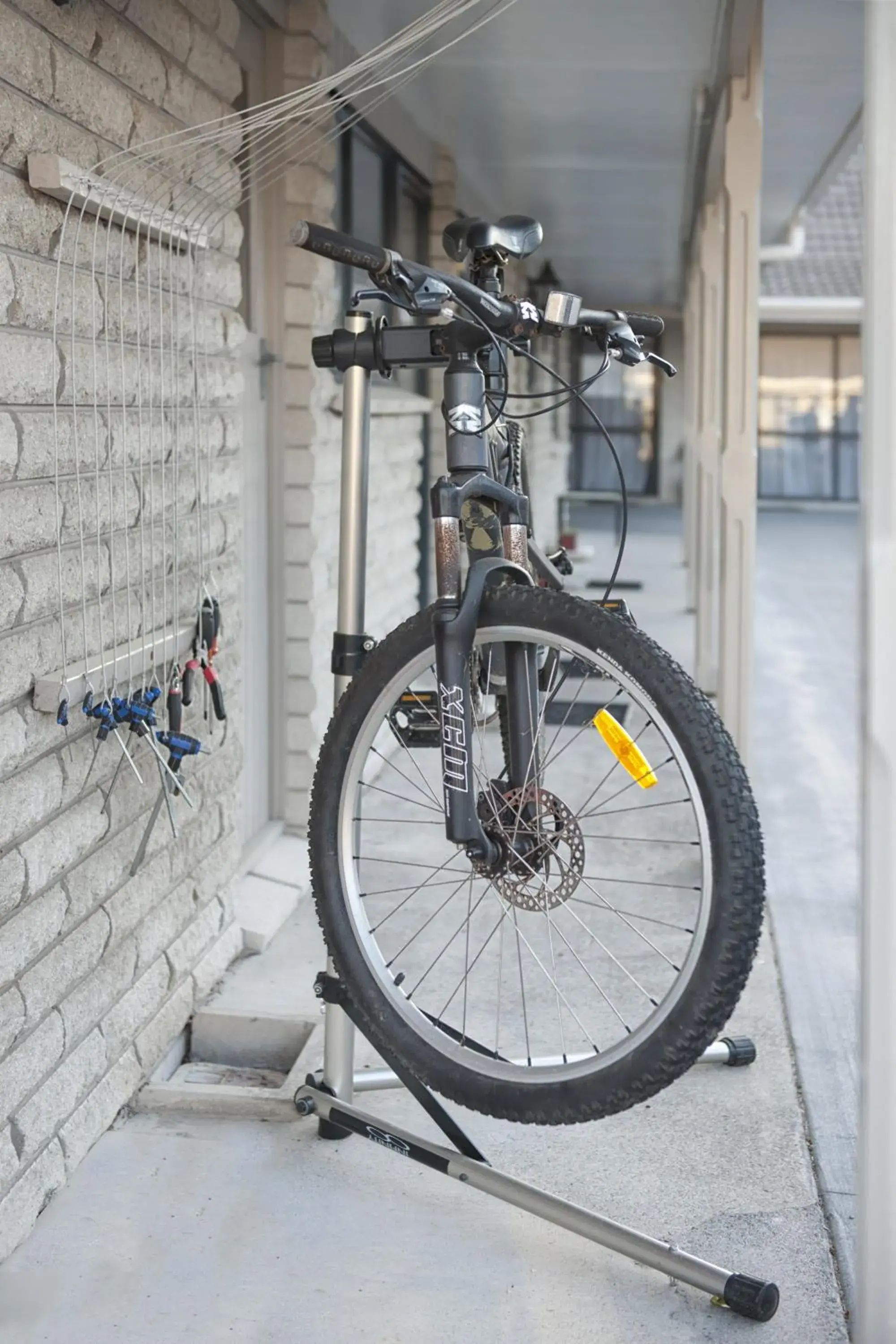 Other in Sport Of Kings Motel Other in Sport Of Kings Motel