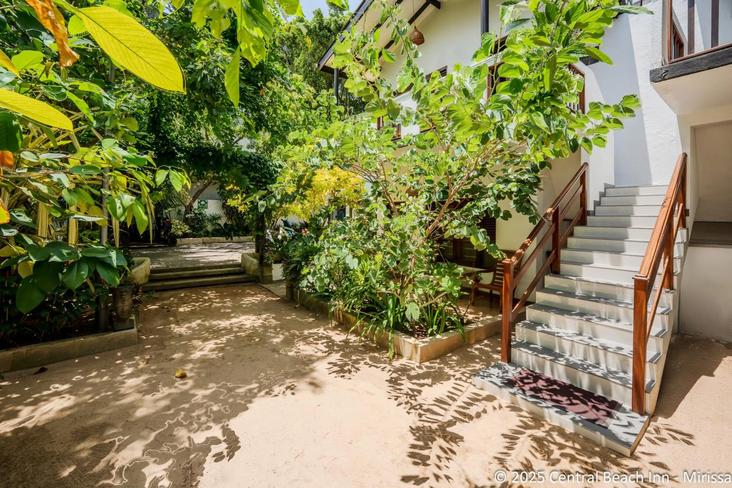 Garden view in Central Beach Inn