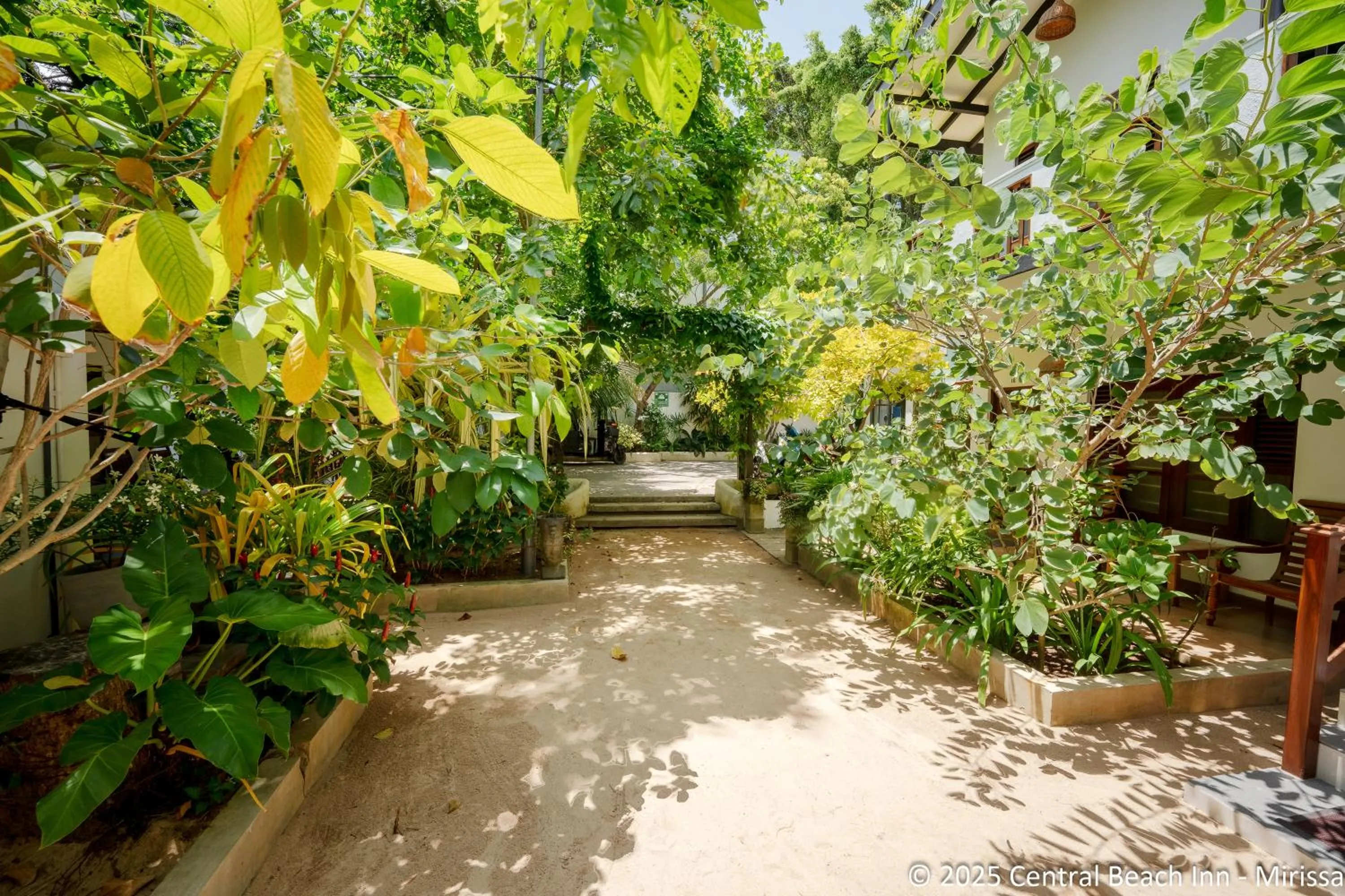 Garden in Central Beach Inn
