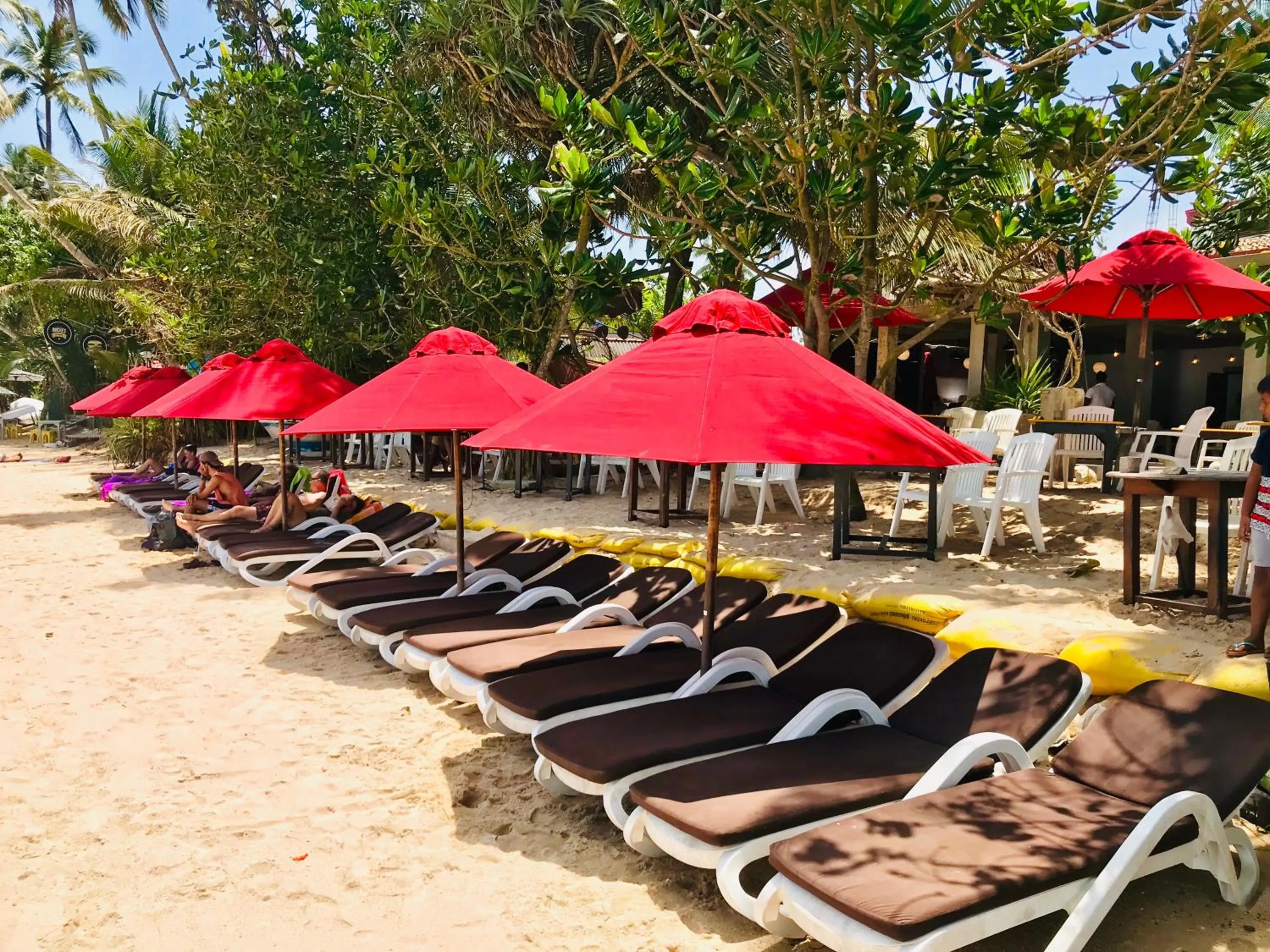 sunbed in Central Beach Inn