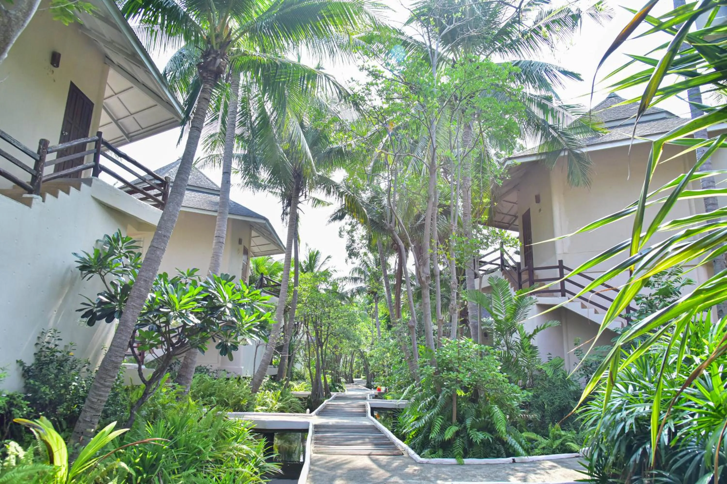 Natural landscape in Tanaosri Resort Pranburi