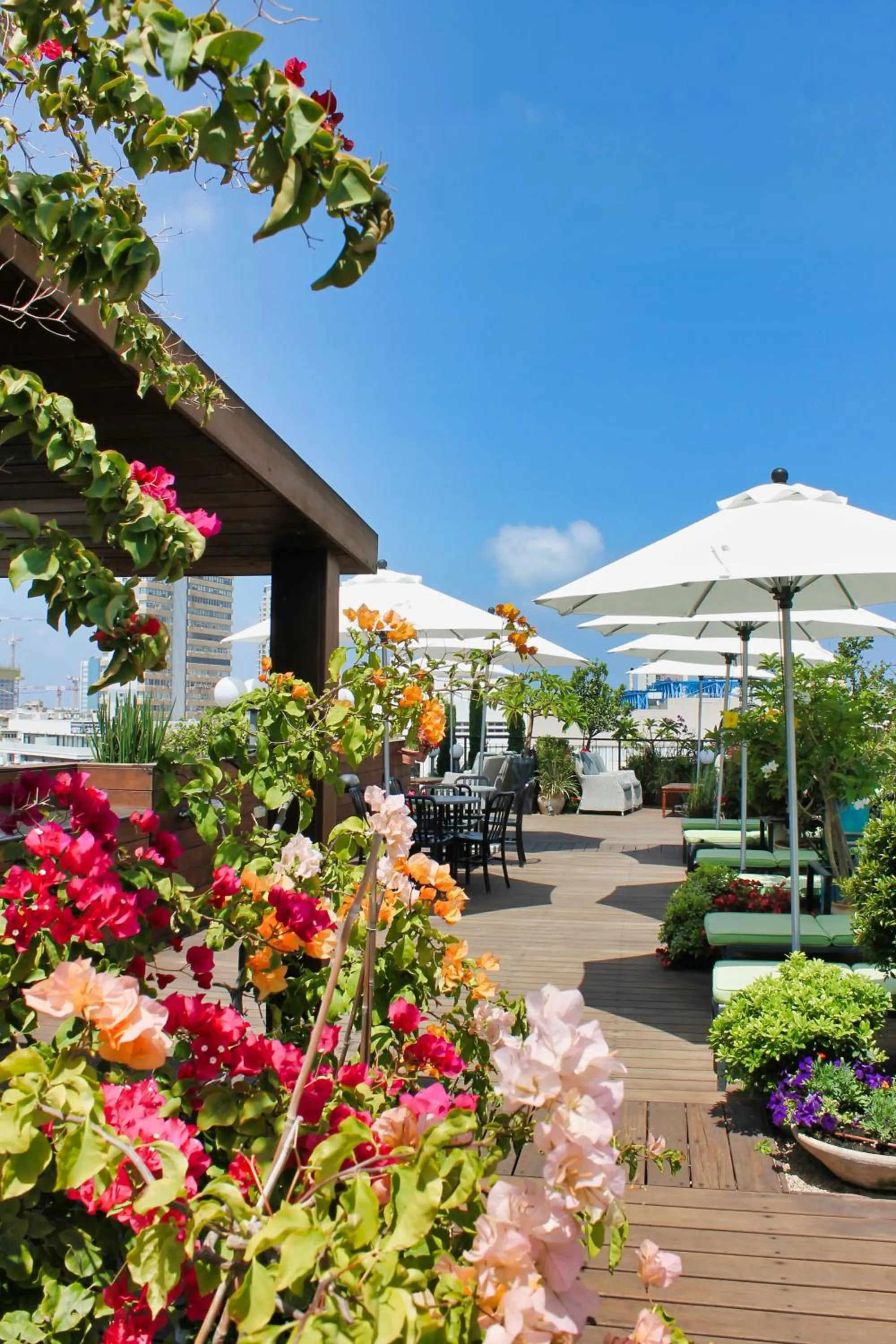 Balcony/Terrace in Center Chic Hotel - an Atlas Boutique Hotel