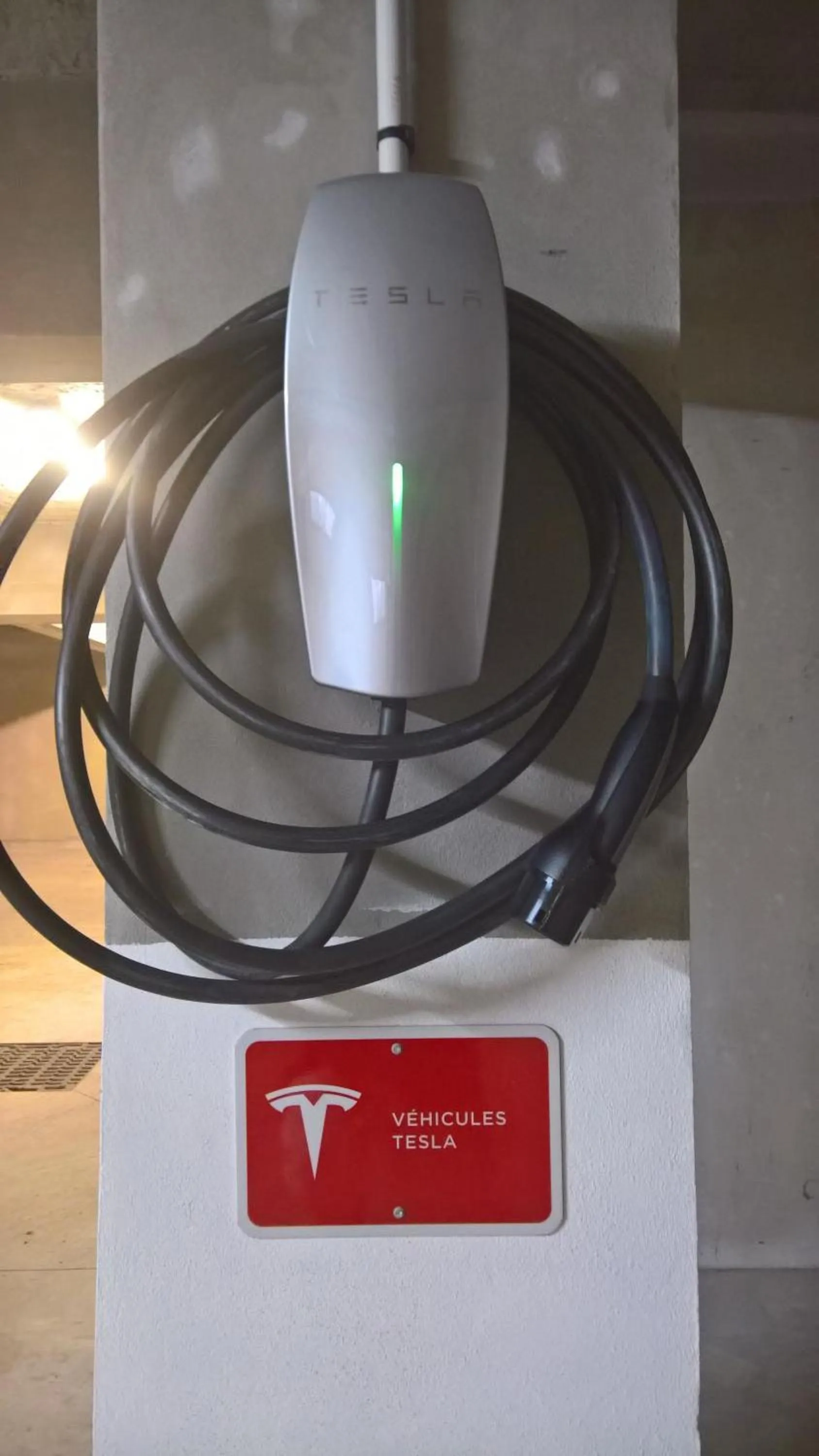 Area and facilities in Hotel 202