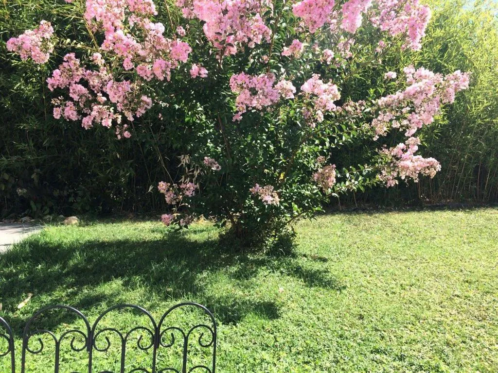 Garden view in CoTTAGE LA VILLA BOLERO