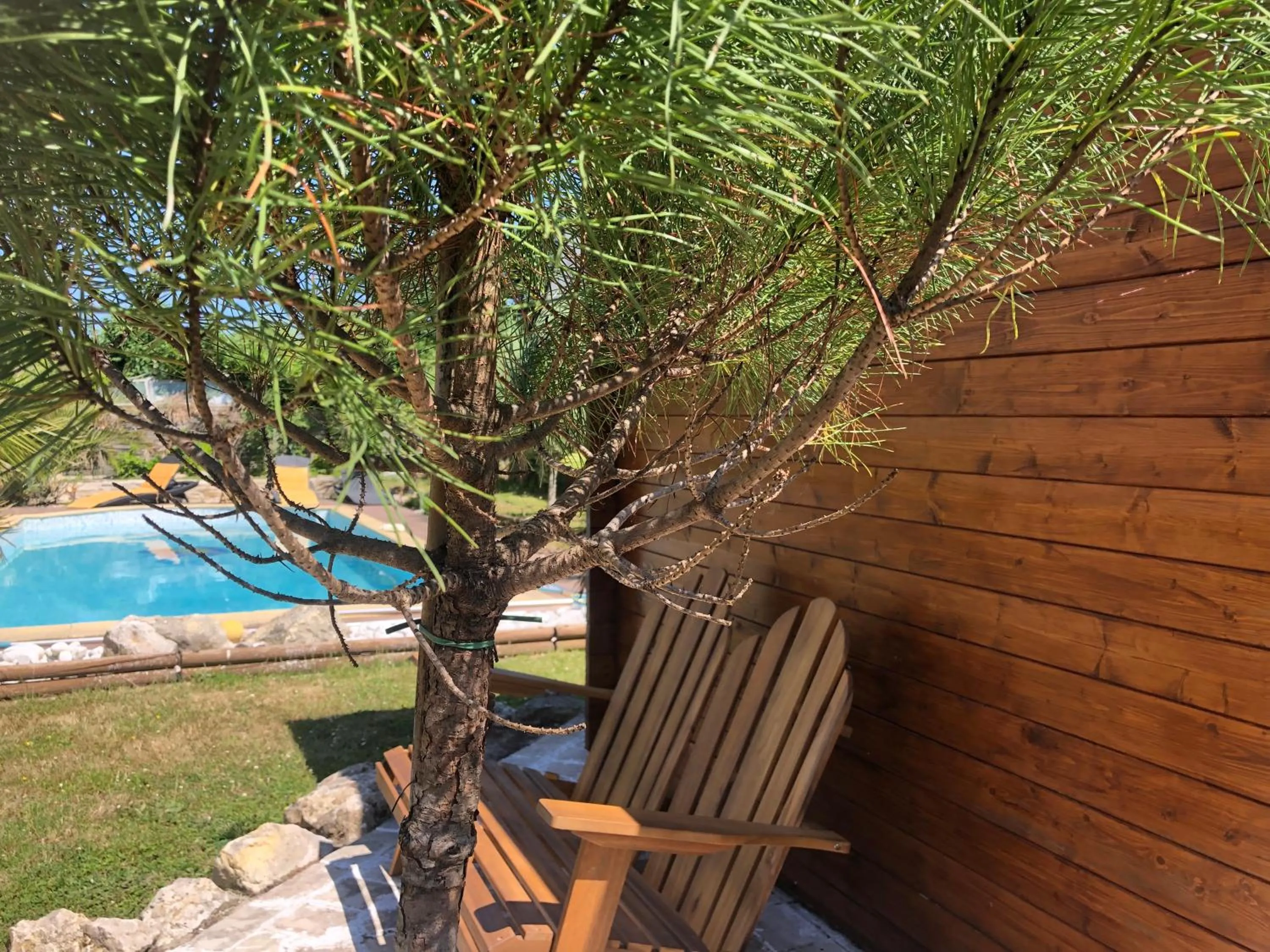 Swimming pool in CoTTAGE LA VILLA BOLERO