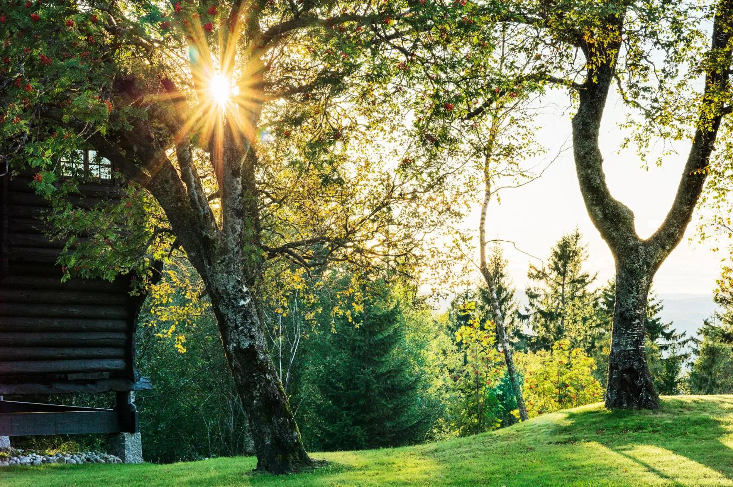 Summer in Lysebu Hotel
