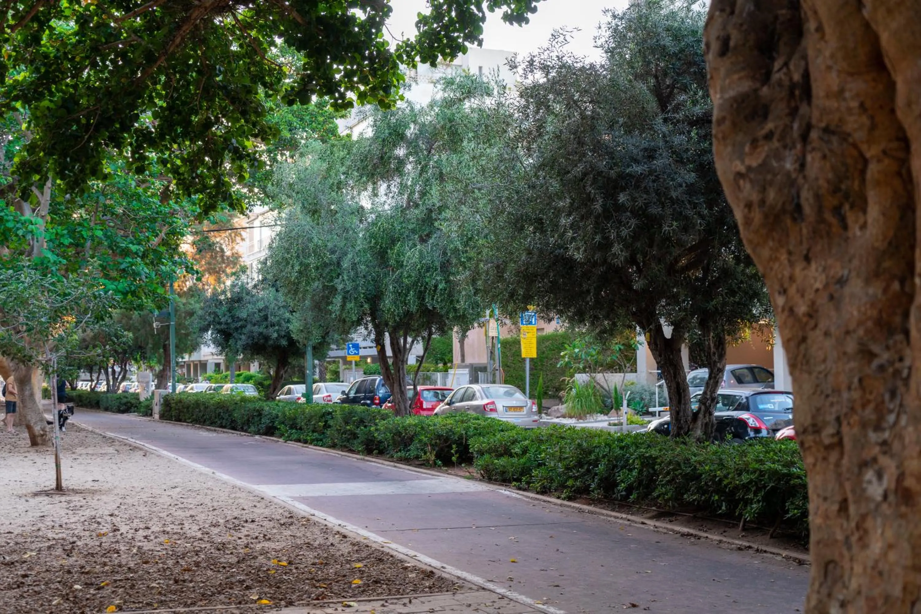 Other in Leonardo Beach Tel Aviv