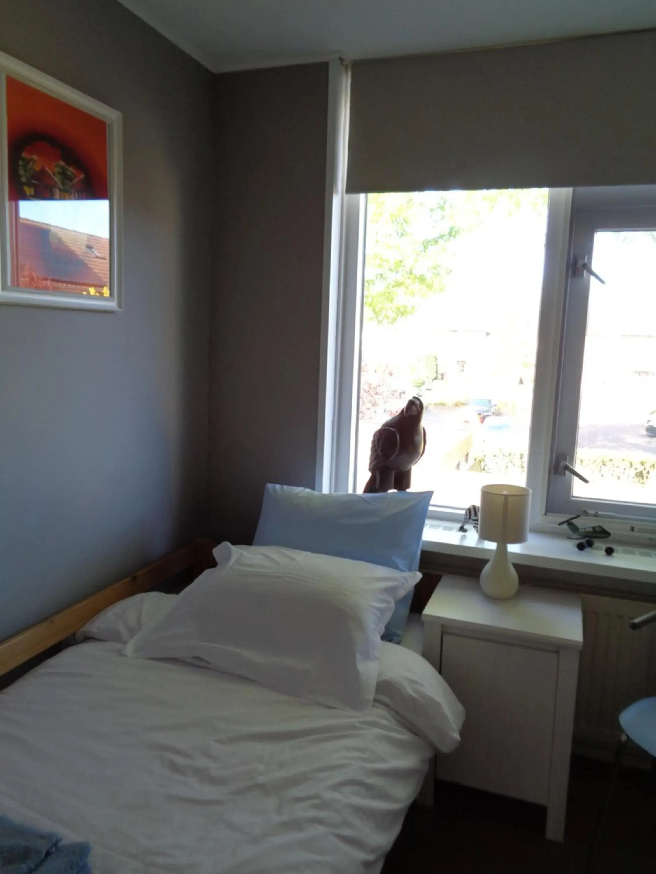 Small Single Room - single occupancy in Oddingsplace Small Single Room - single occupancy in Oddingsplace