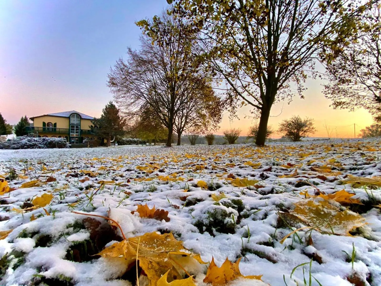 Property building in Vanilla Hof