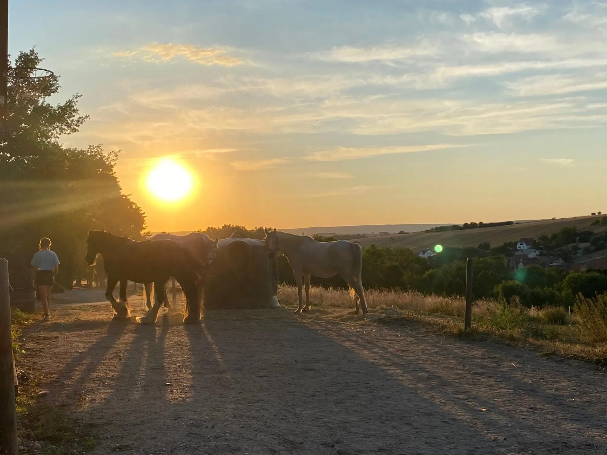 Natural landscape in Vanilla Hof