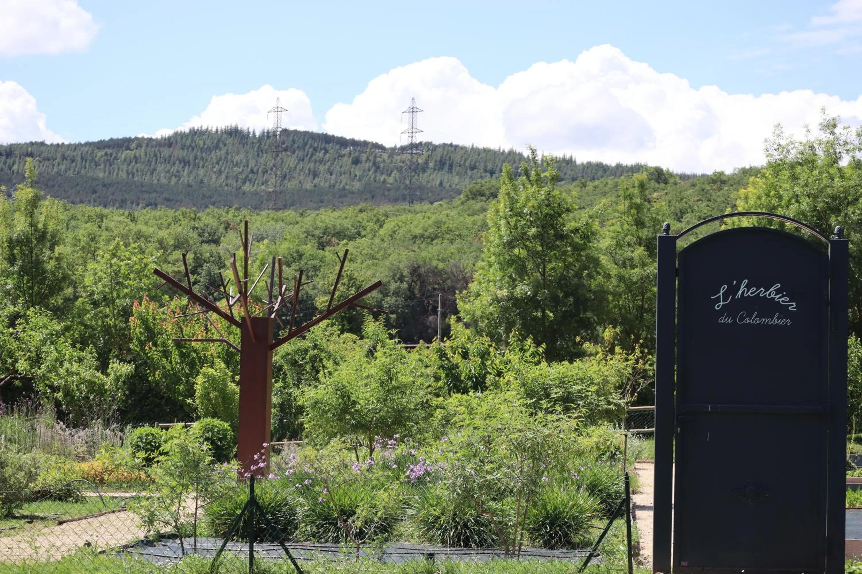 Garden in Le Domaine Du Colombier