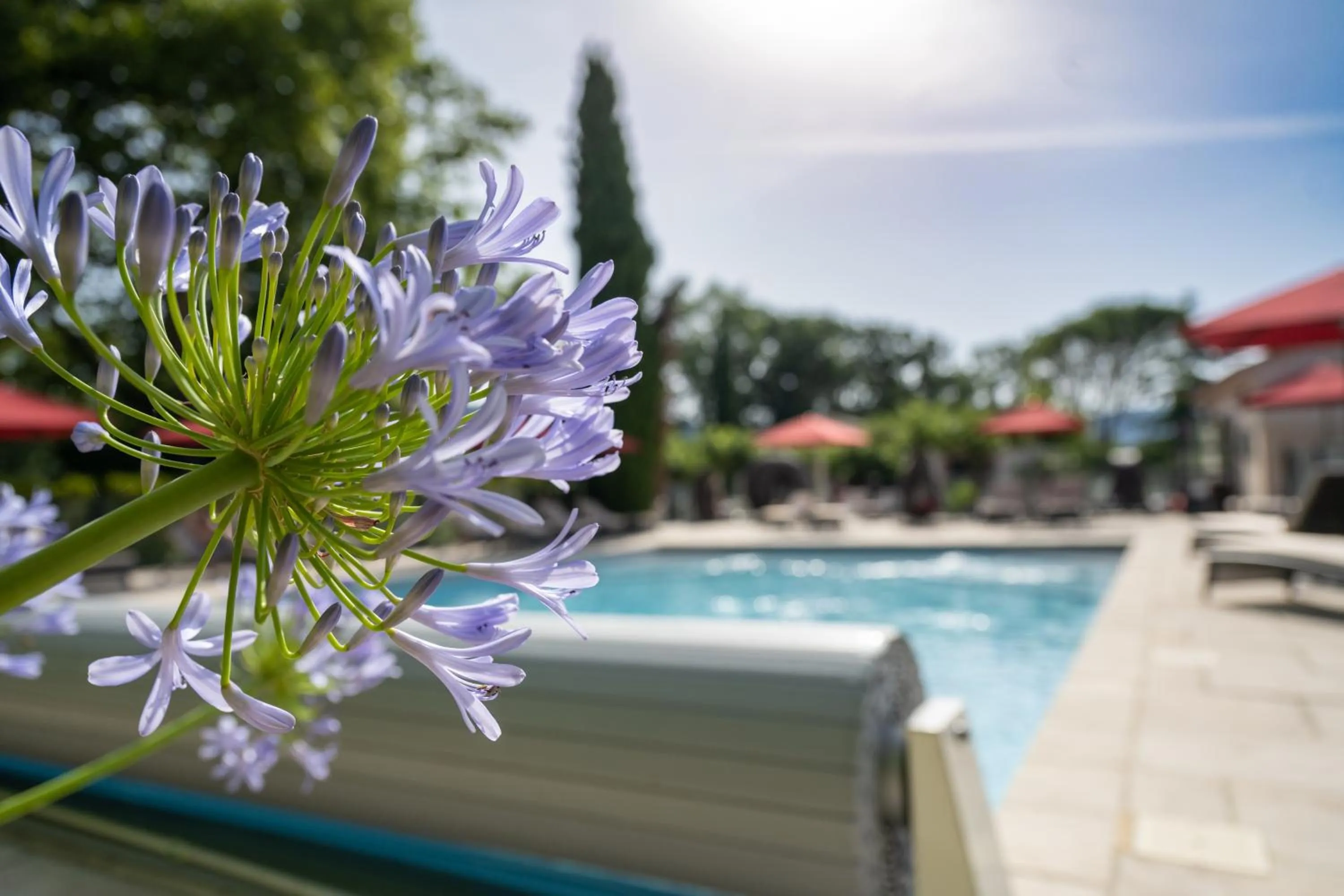 Swimming pool in Le Domaine Du Colombier