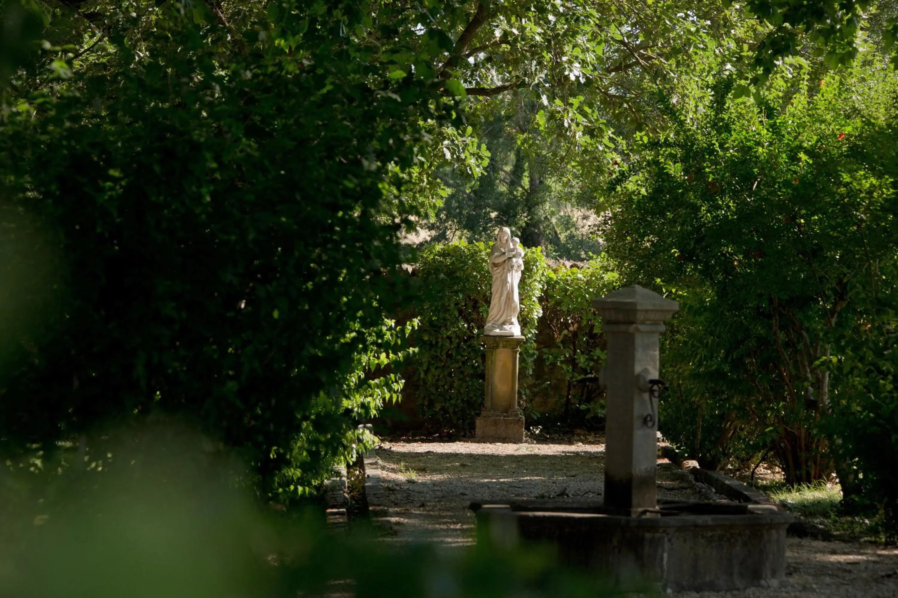 Garden in Le Domaine Du Colombier