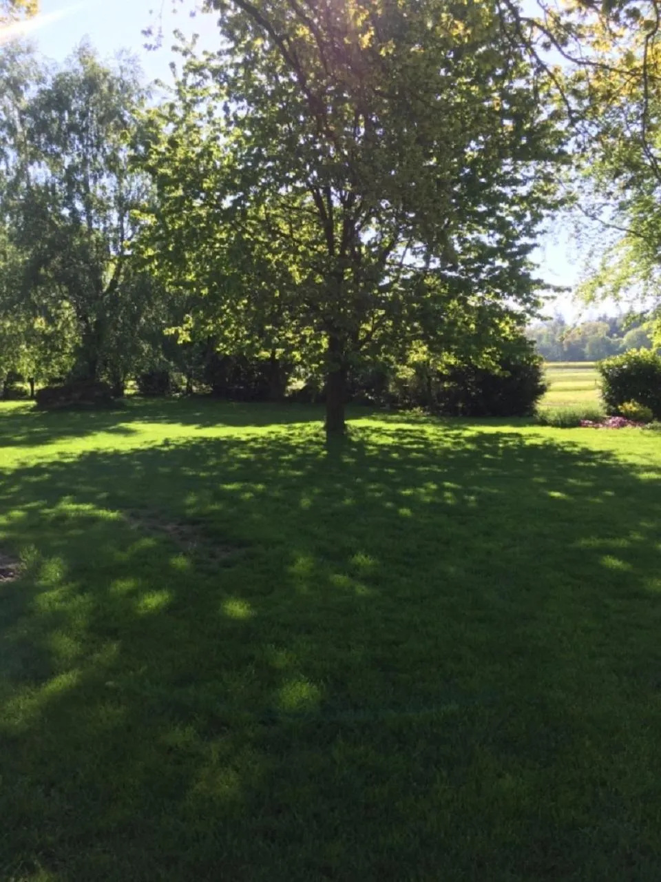 Garden in Ferienhof Pankalla