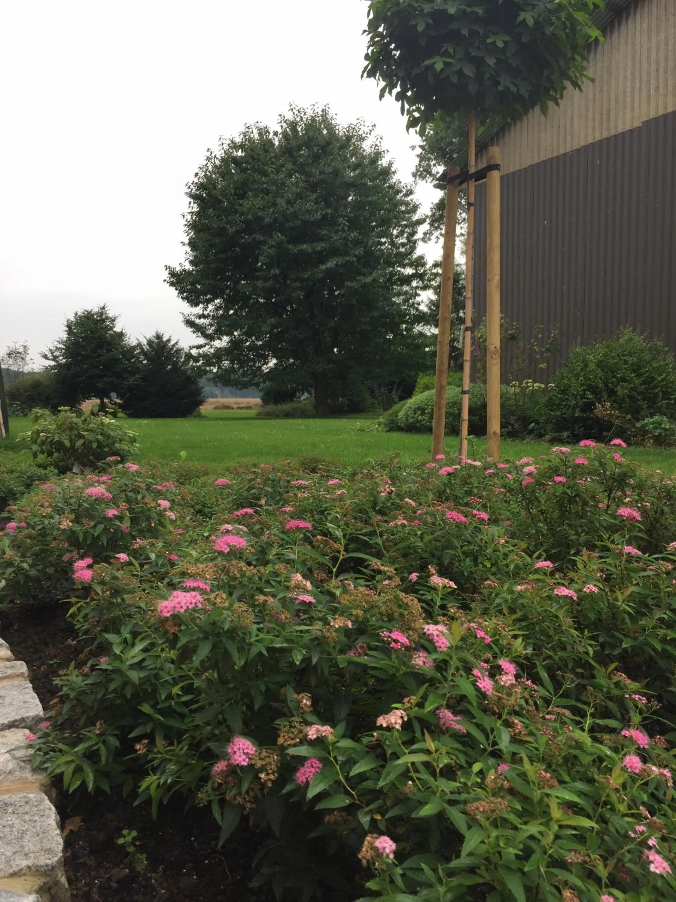 Natural landscape in Ferienhof Pankalla