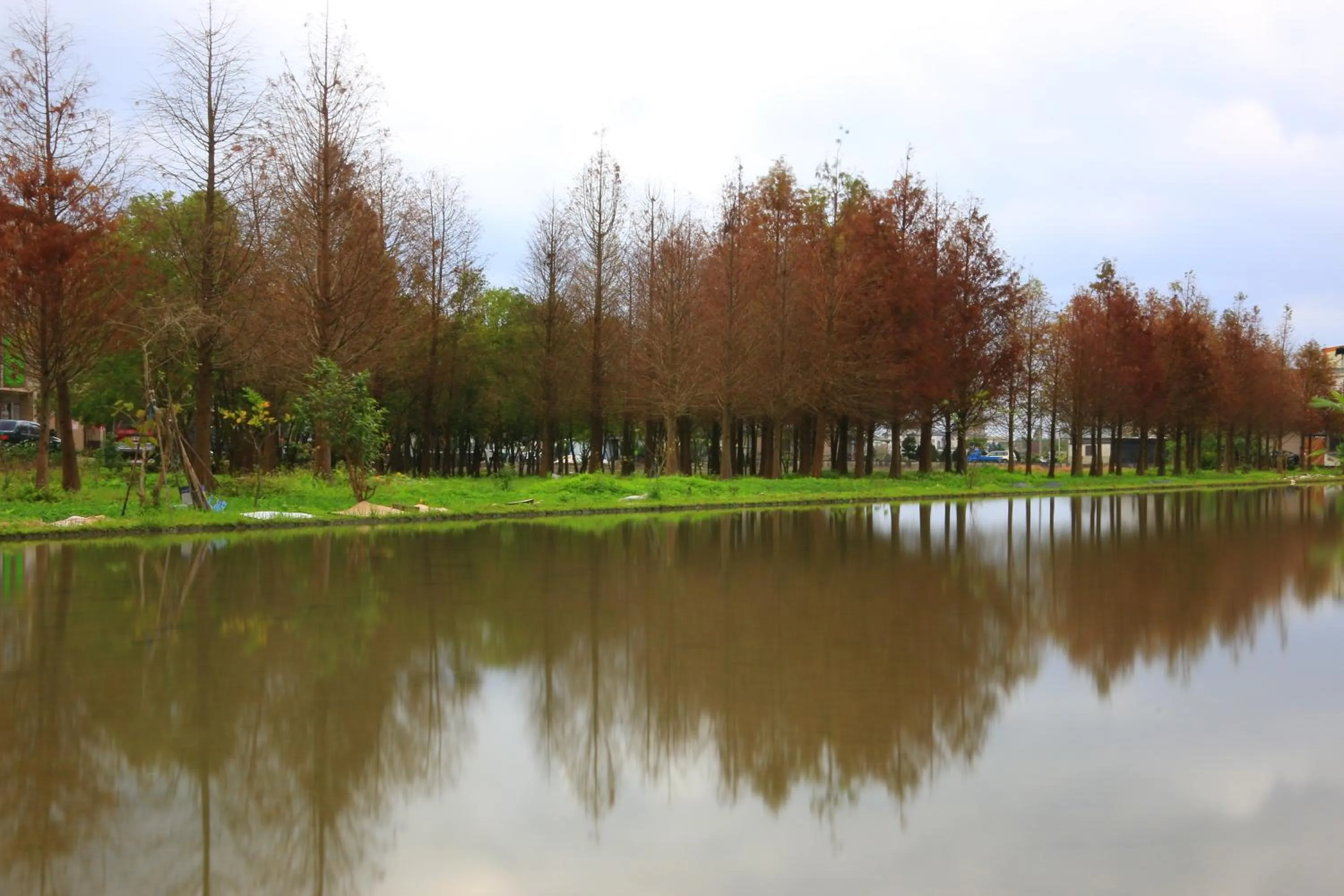 Natural landscape in Yosemite Homestay