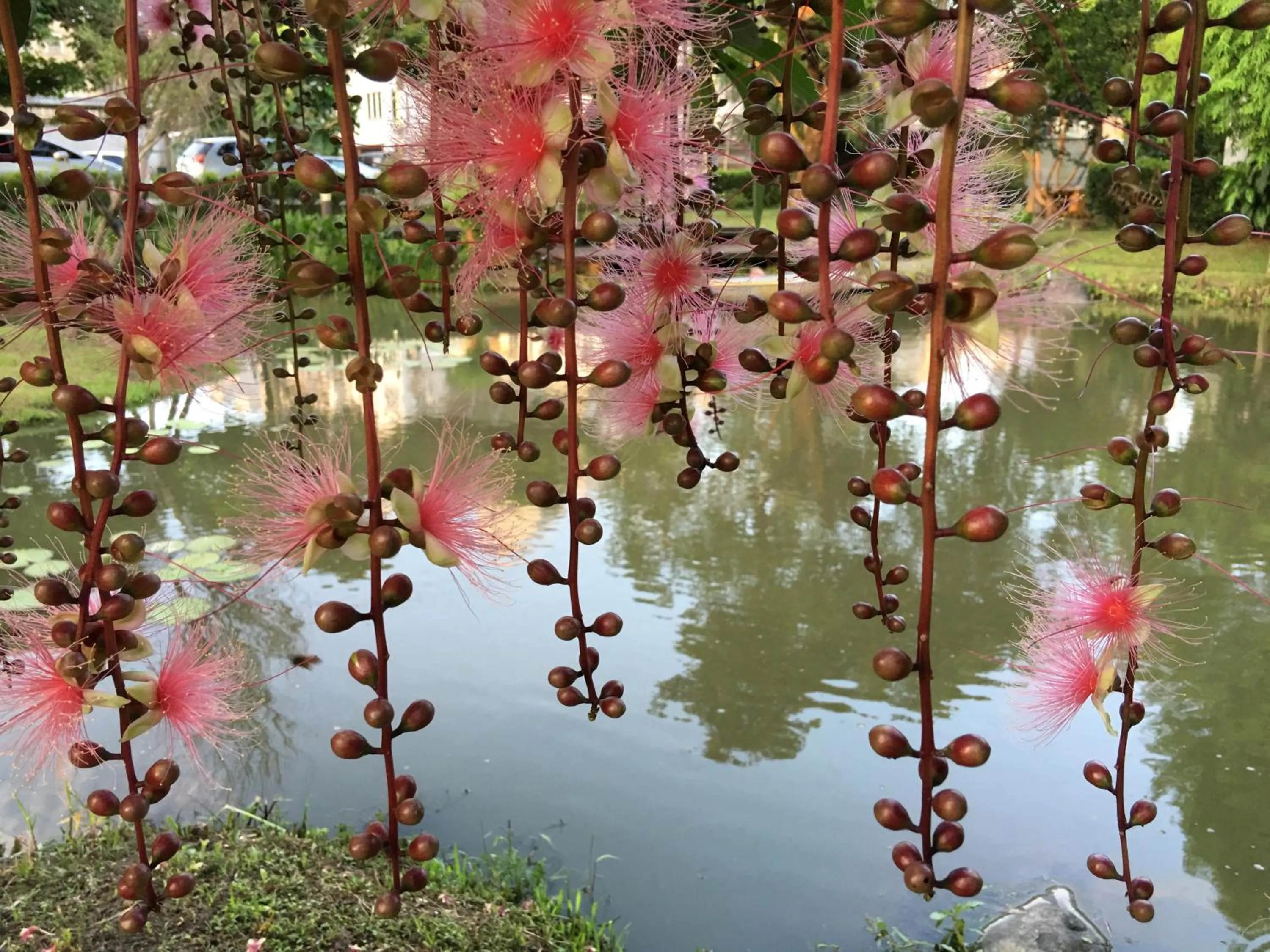 Property building in Yosemite Homestay