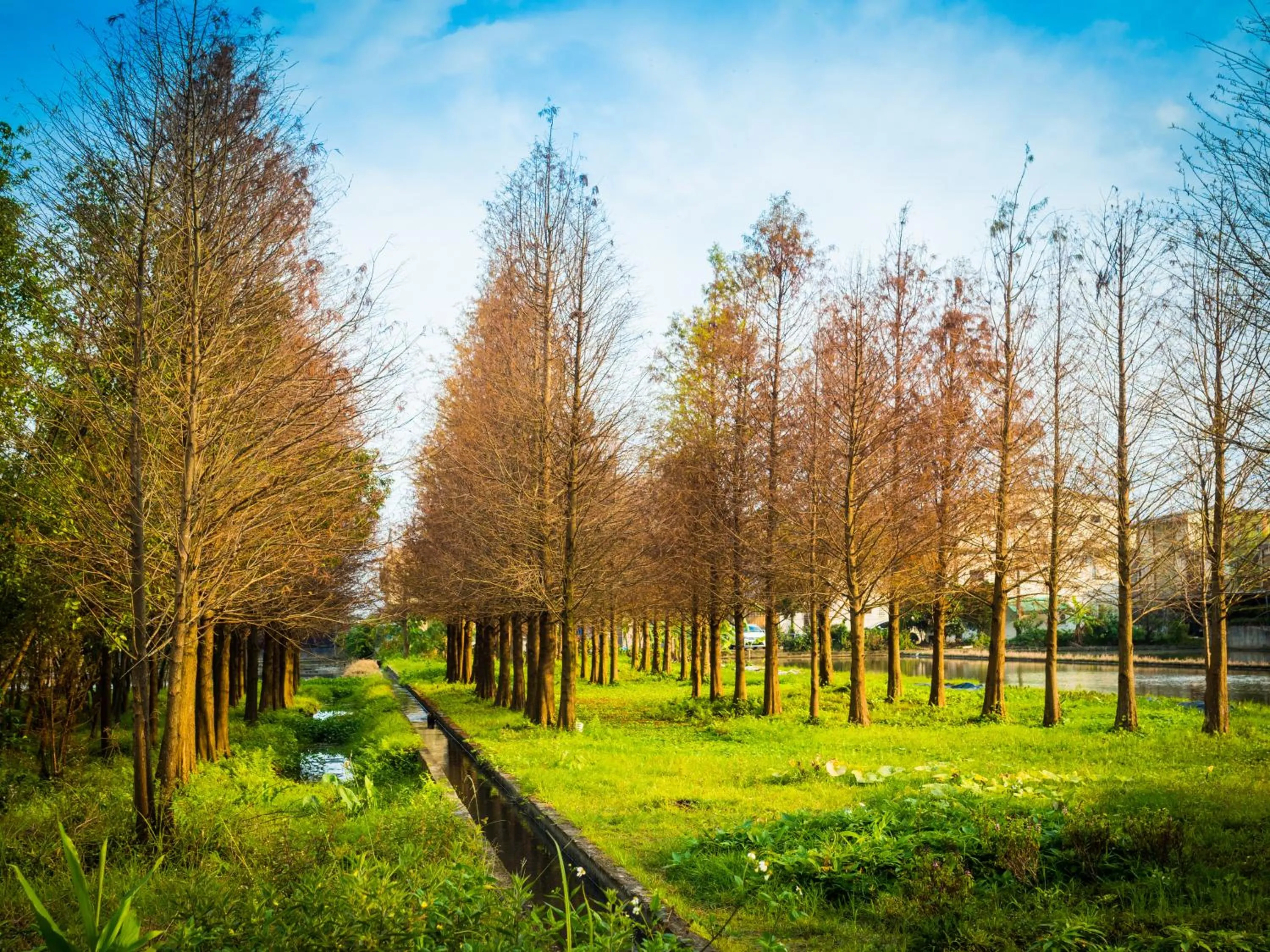 Nearby landmark in Yosemite Homestay