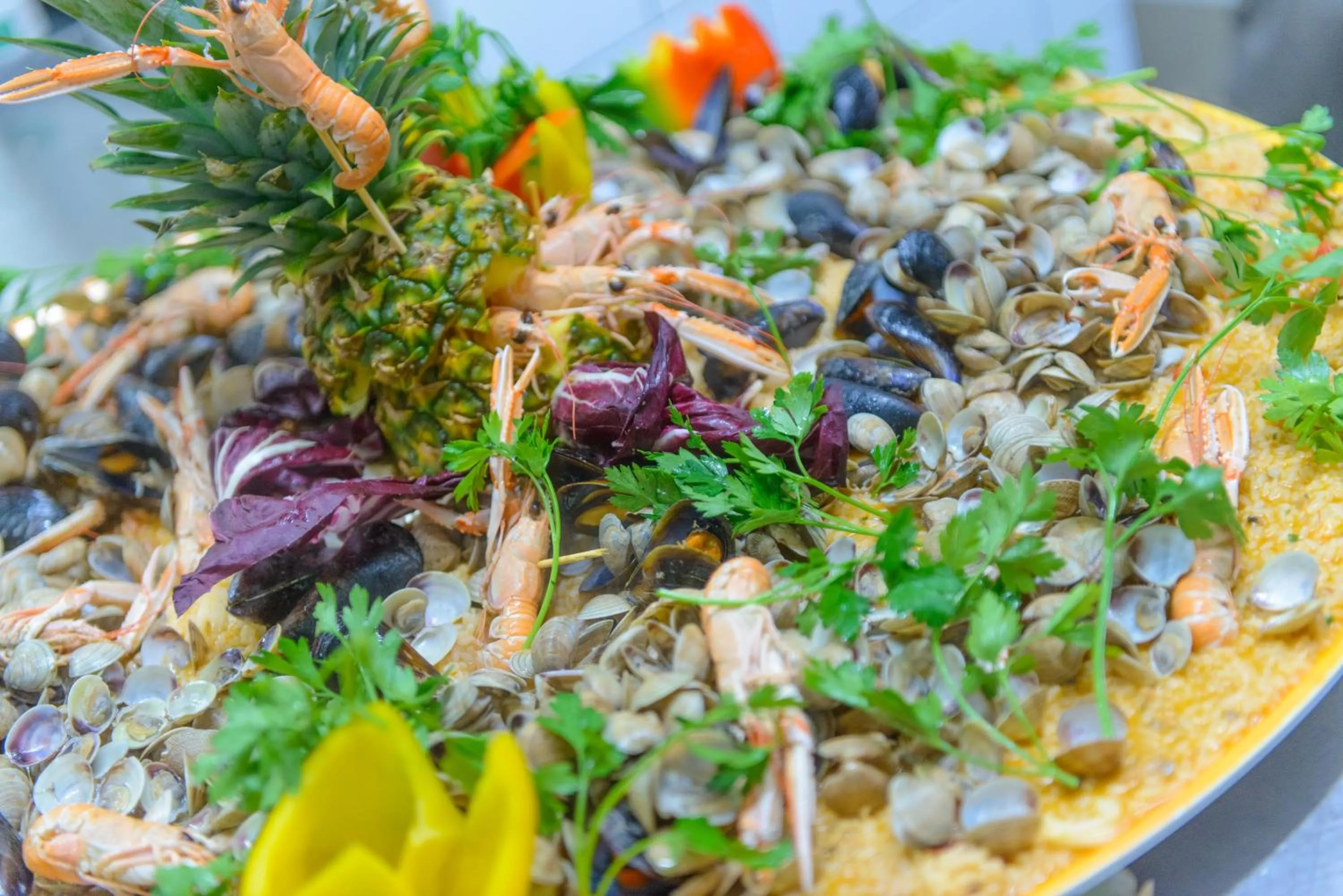 Food close-up in Hotel Nuova Medusa Rimini