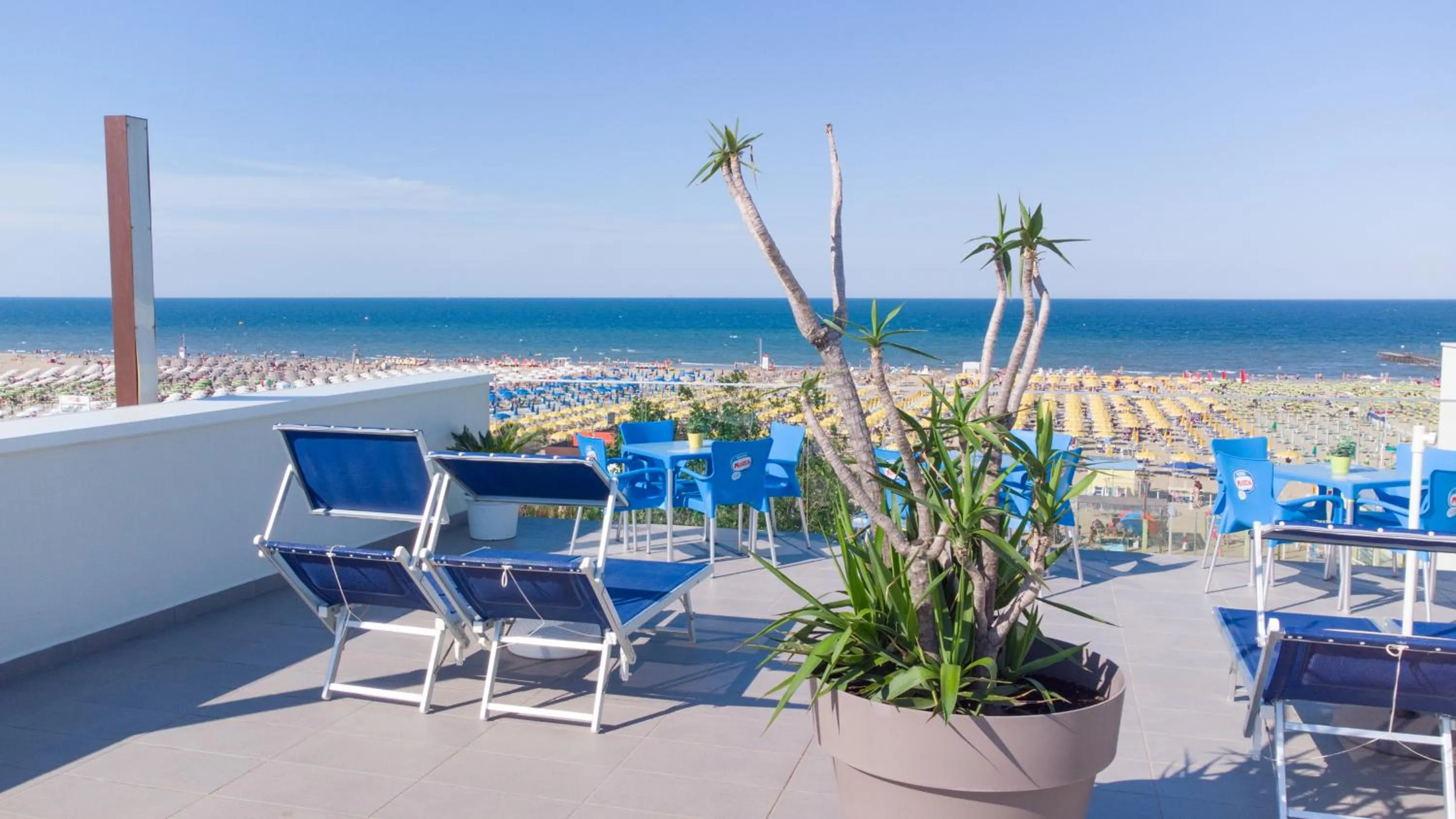 Beach in Hotel Nuova Medusa Rimini